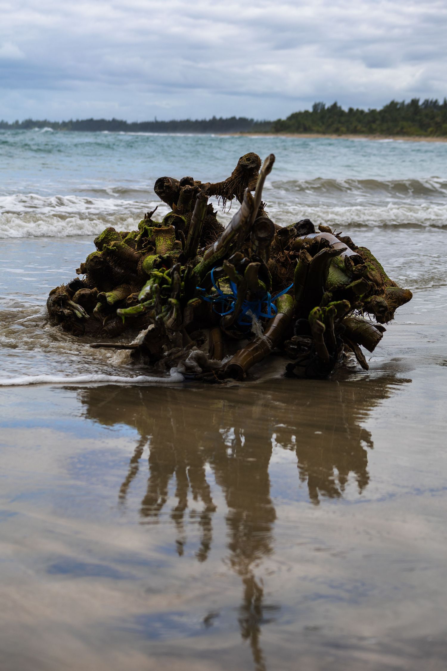 Travel photo in Puerto Rico