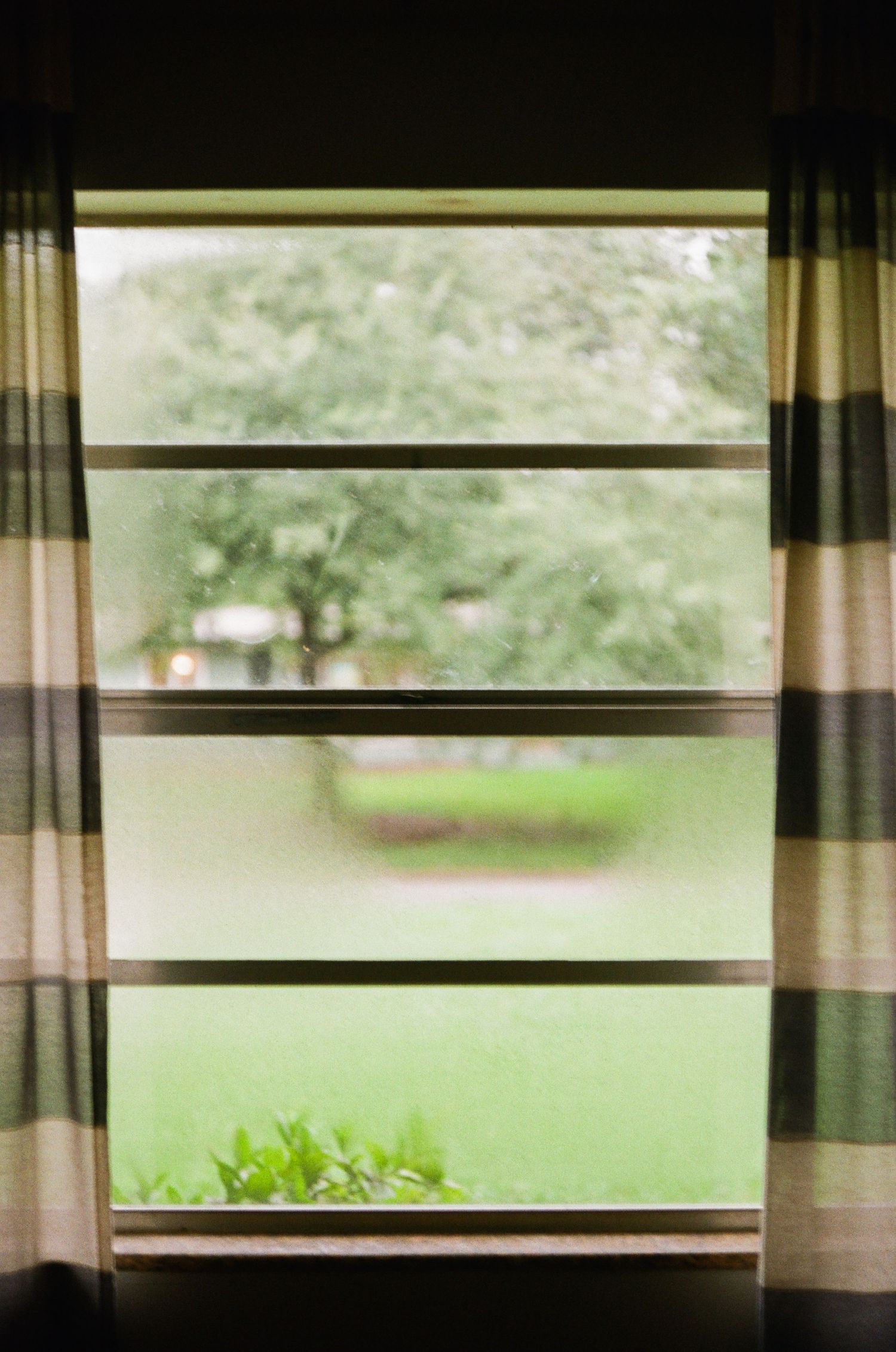 35mm film photo in Gainesville, Florida