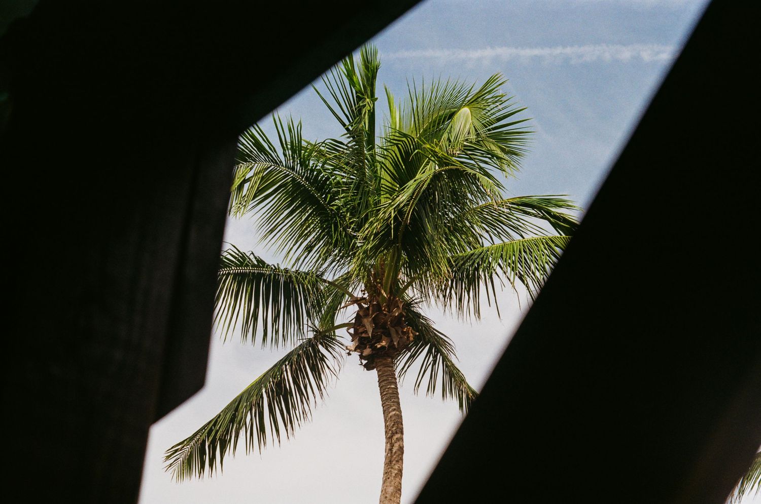 35mm film photo in Puerto Rico