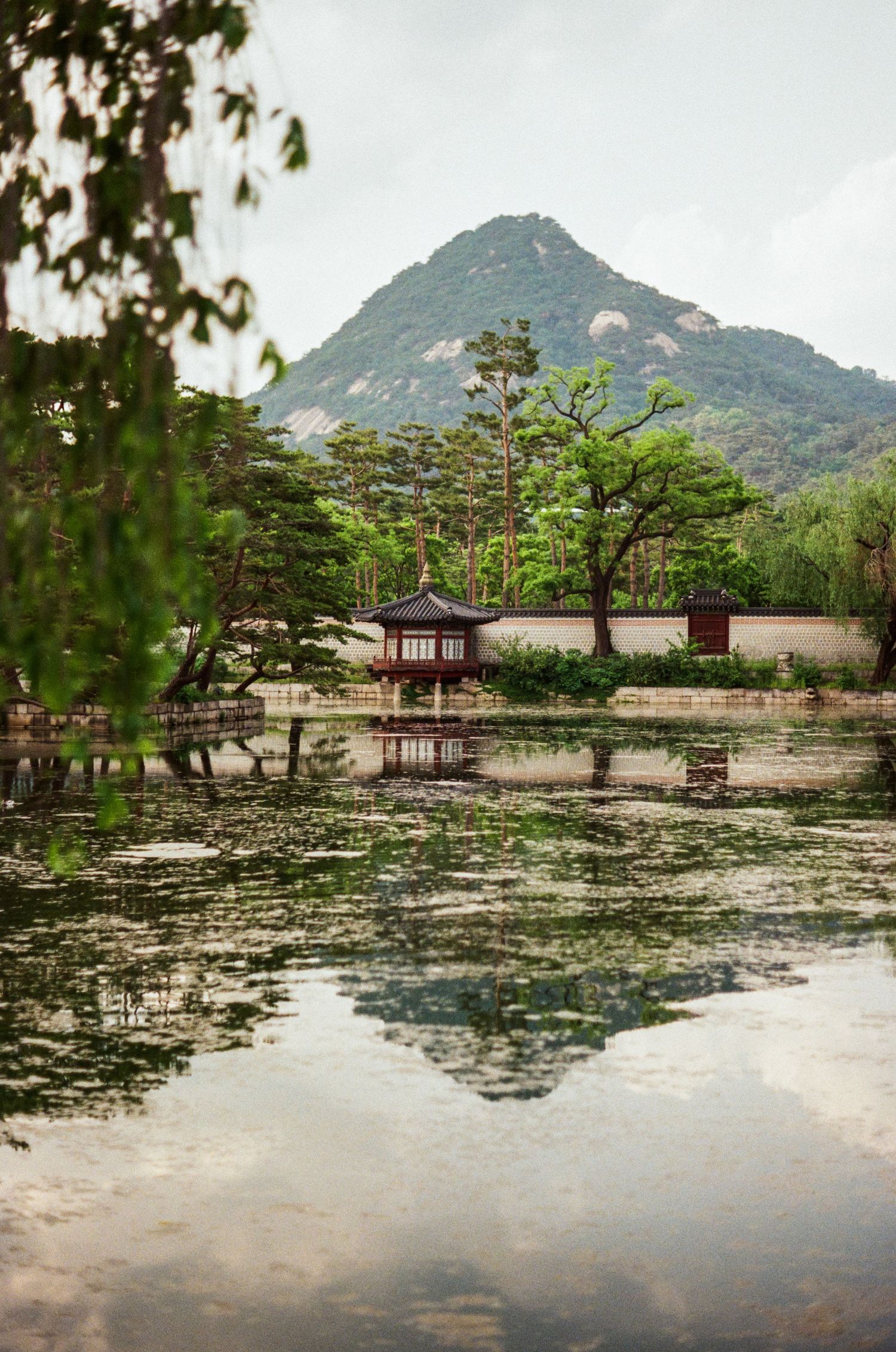 35mm film photo at the Gyeongbokgung Palace in Seoul, South Korea