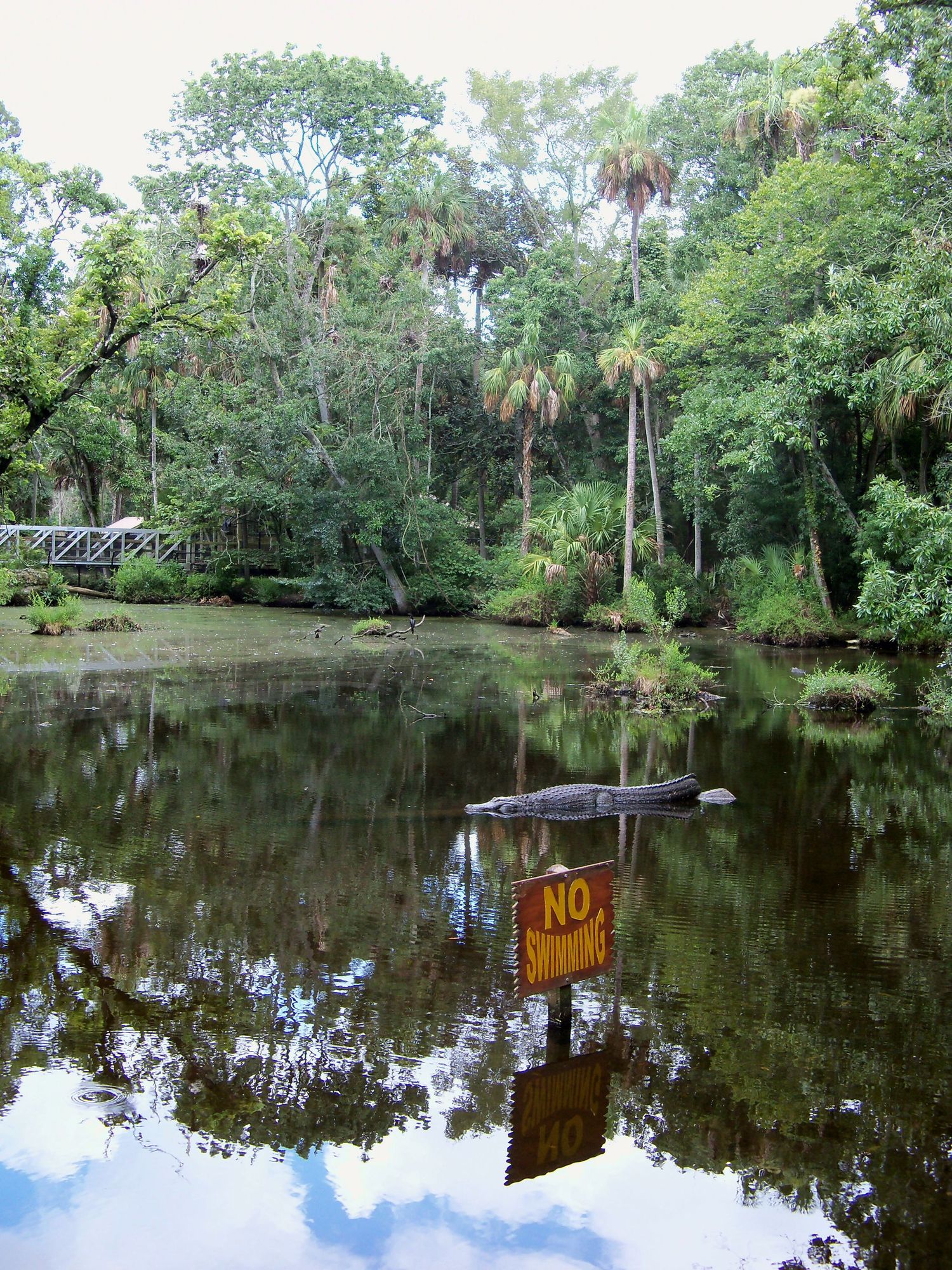 No swimming sign photo