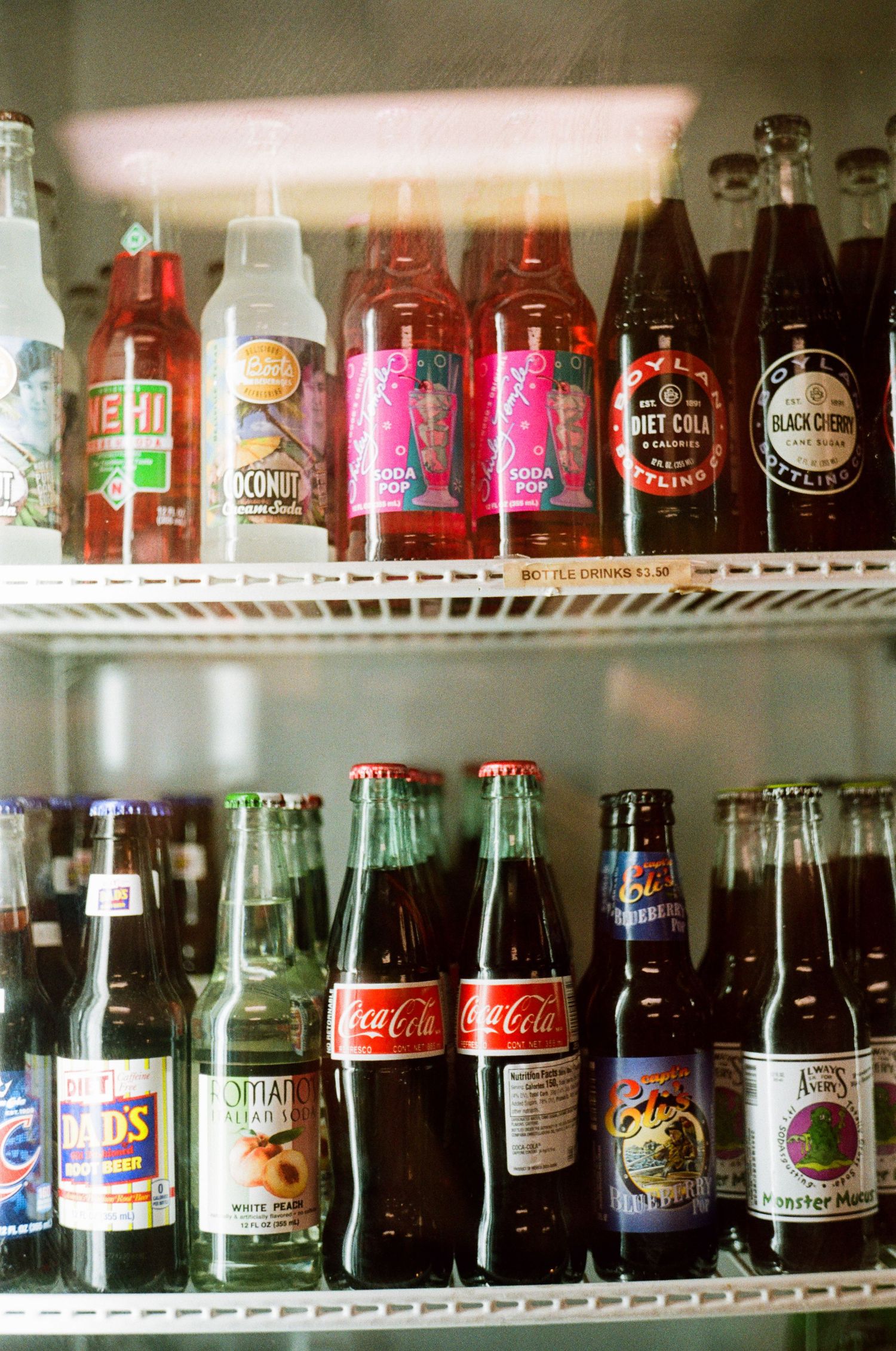 35mm film photo in Gainesville, Florida