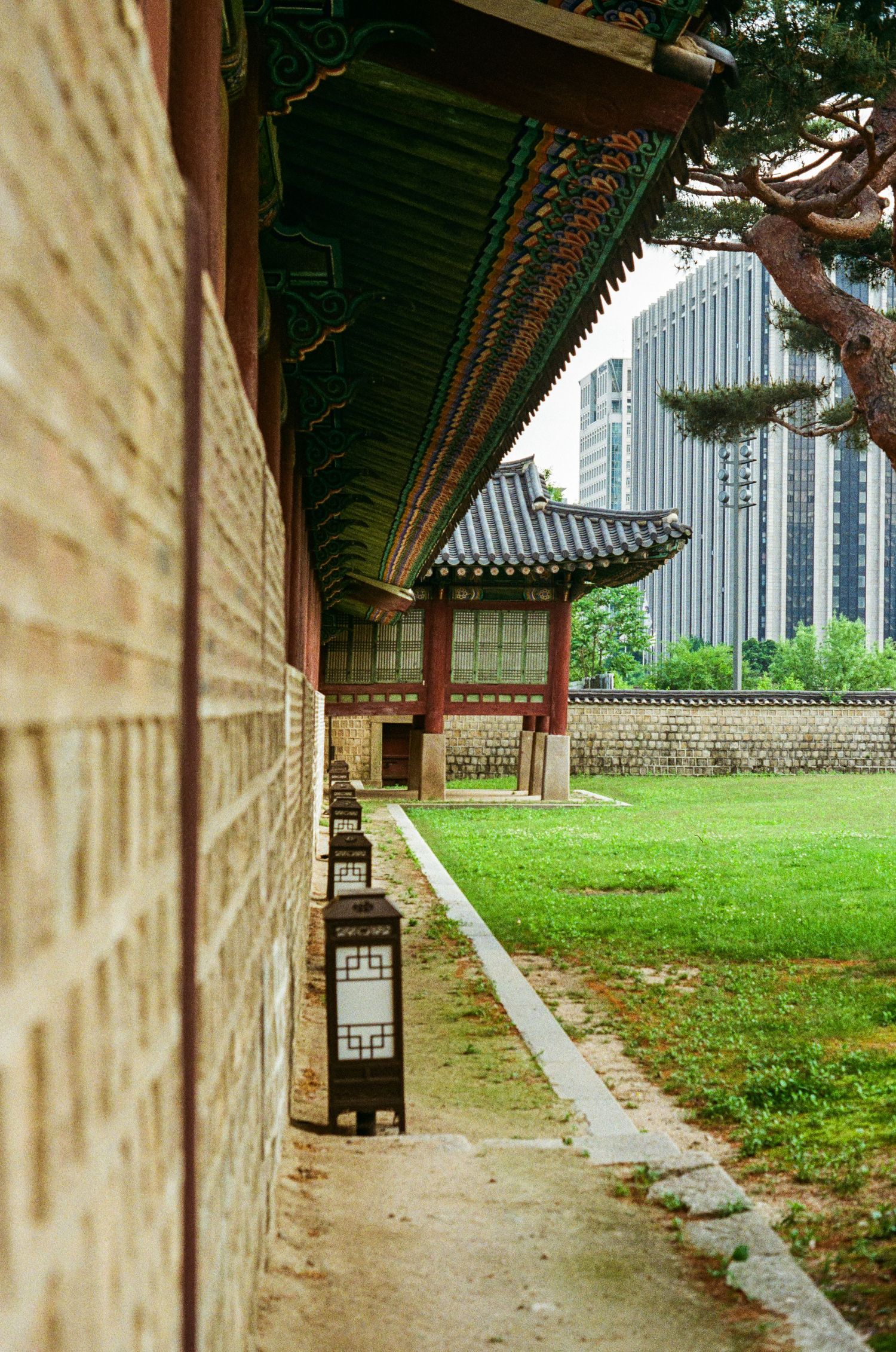 35mm film photo at the Gyeongbokgung Palace in Seoul, South Korea
