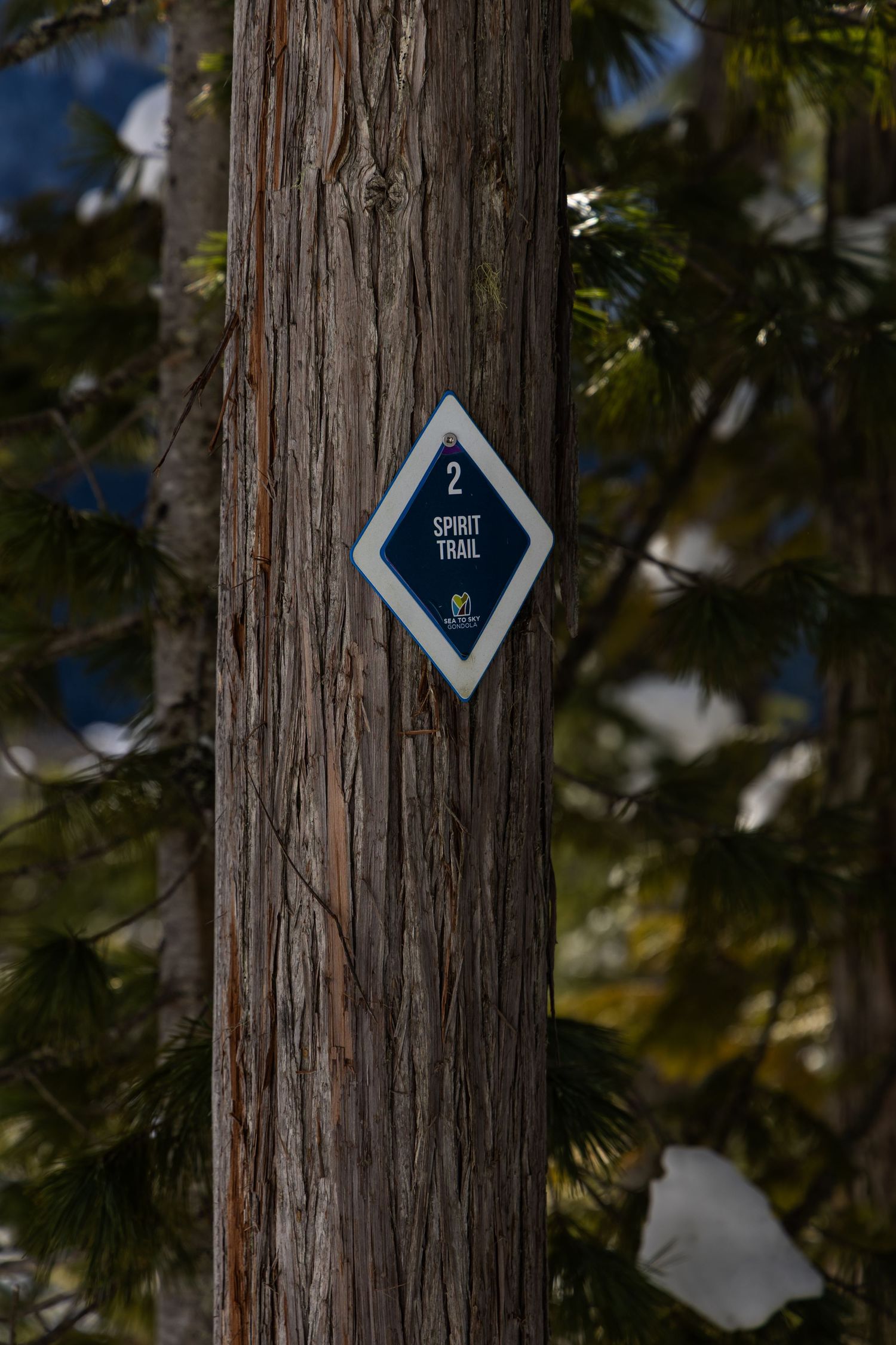 Travel photo in Surrey, BC, Canada