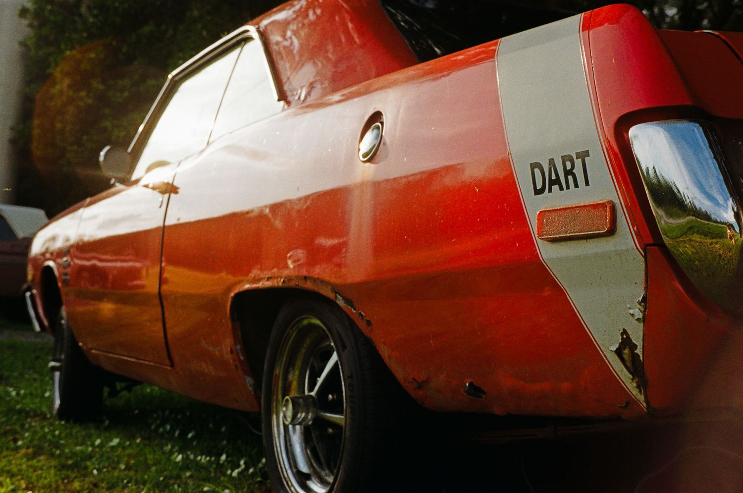 35mm film photo in Gainesville, Florida