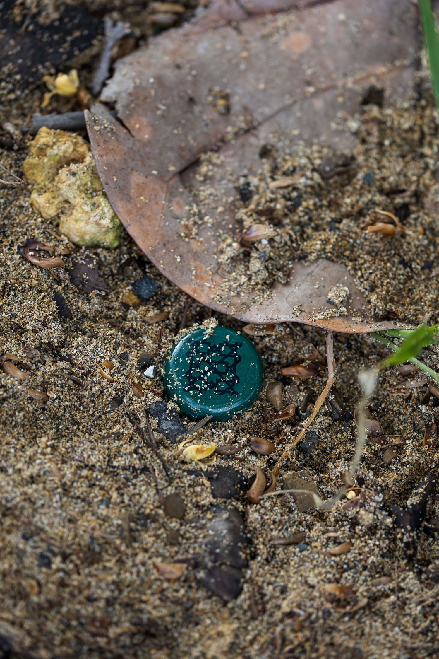 Bottle Cap at beach in Puerto Rico