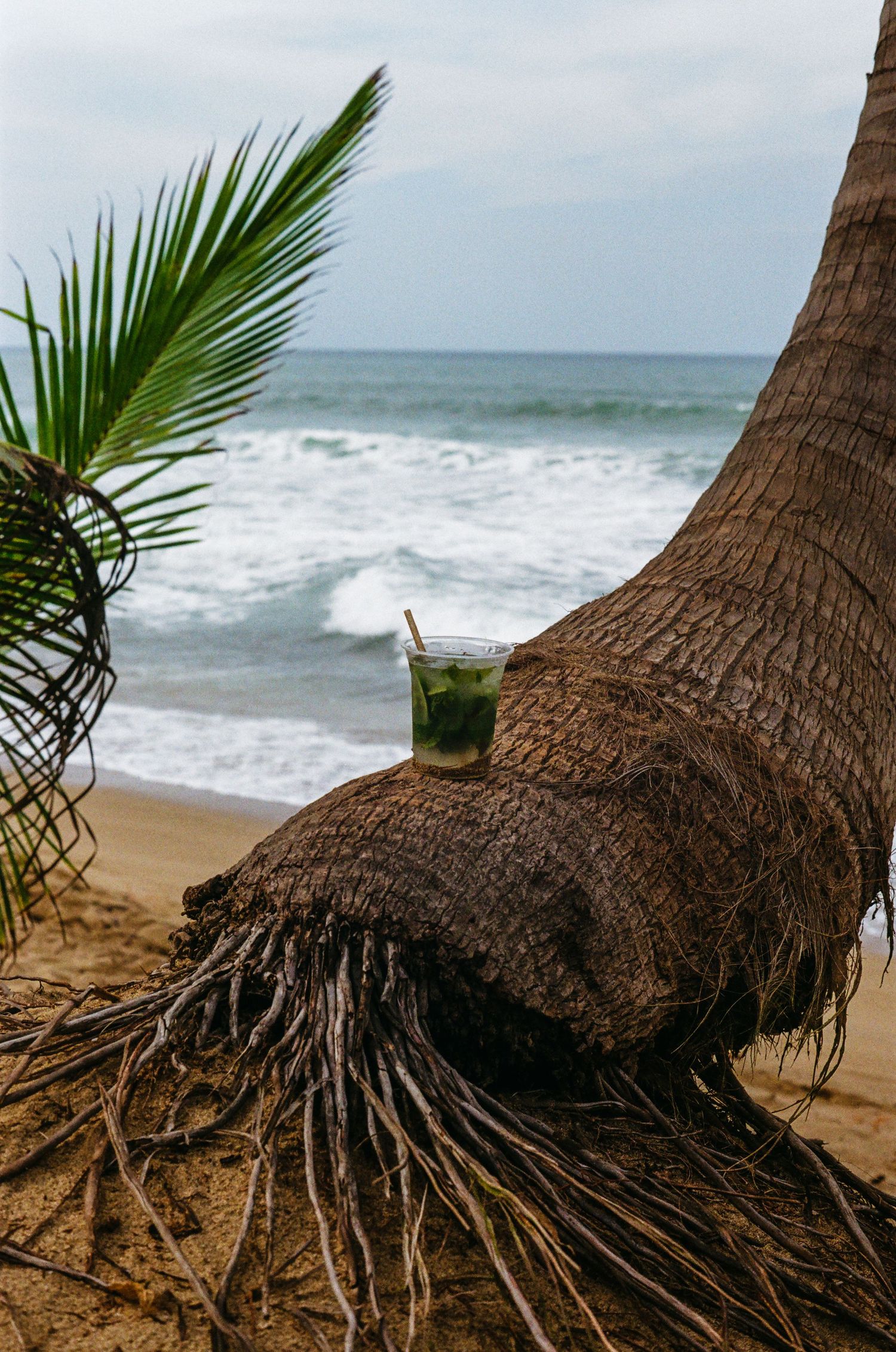 35mm film photo in Puerto Rico