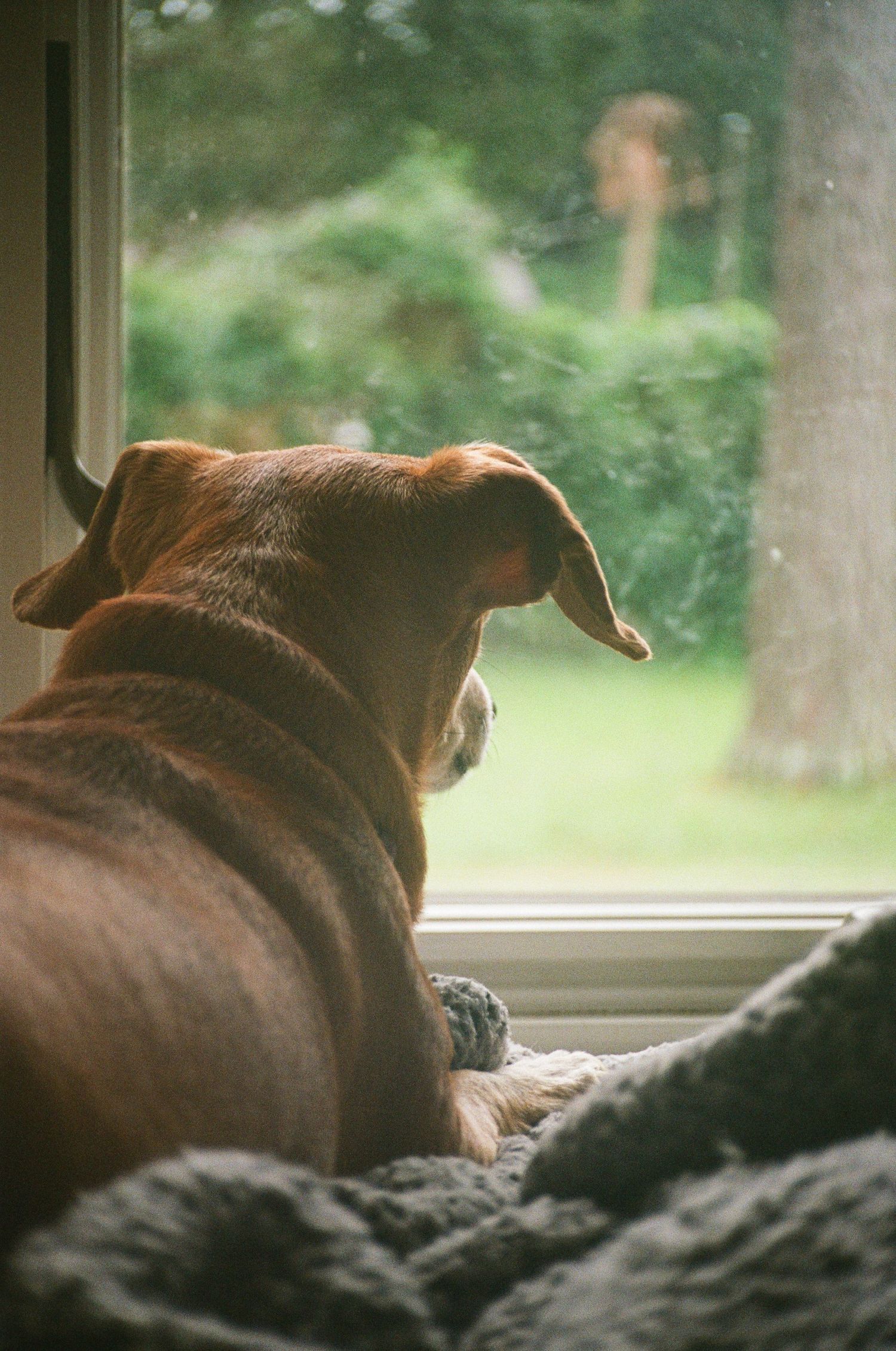35mm film photo in Gainesville, Florida