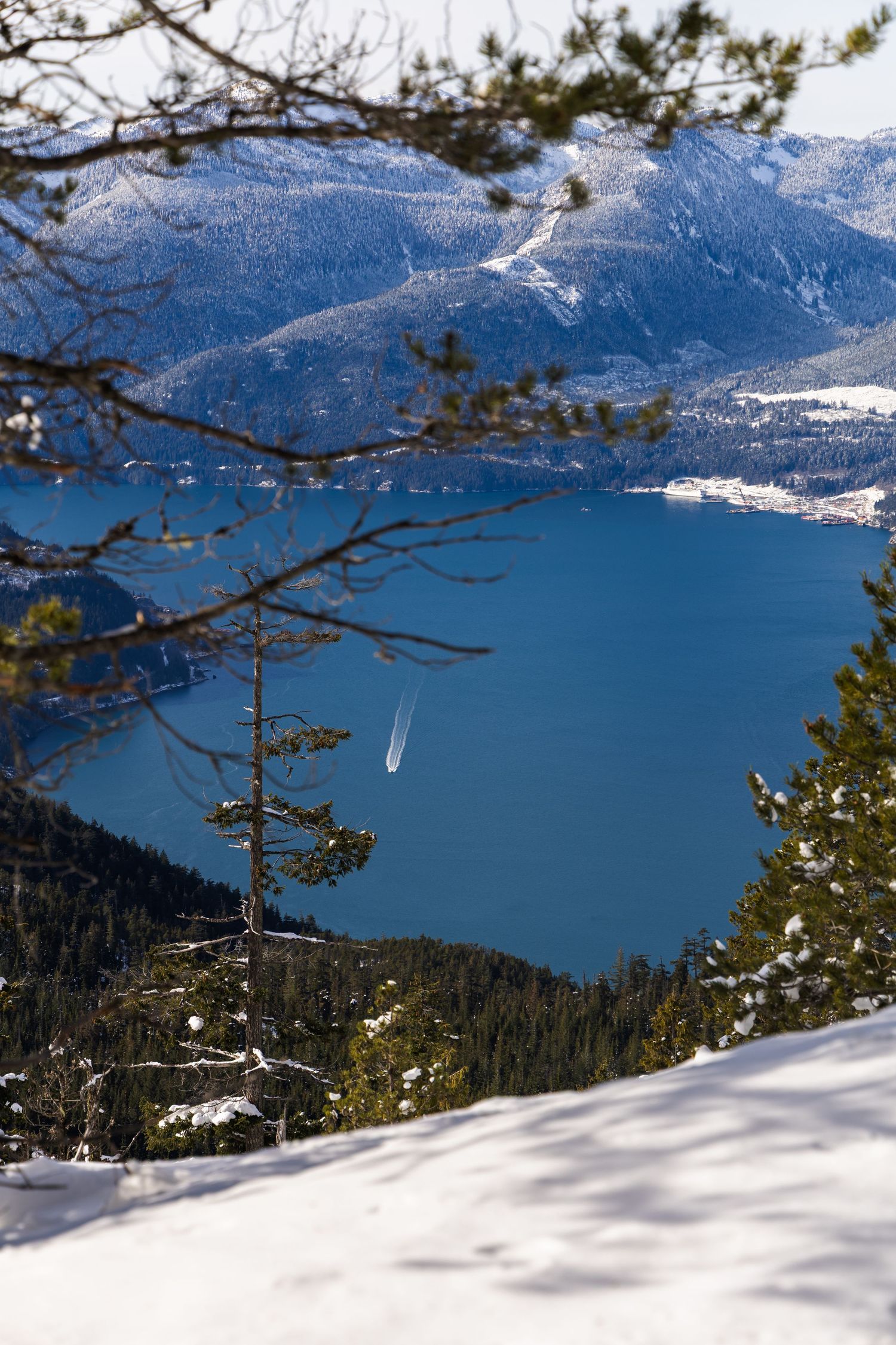 Travel photo in Surrey, BC, Canada