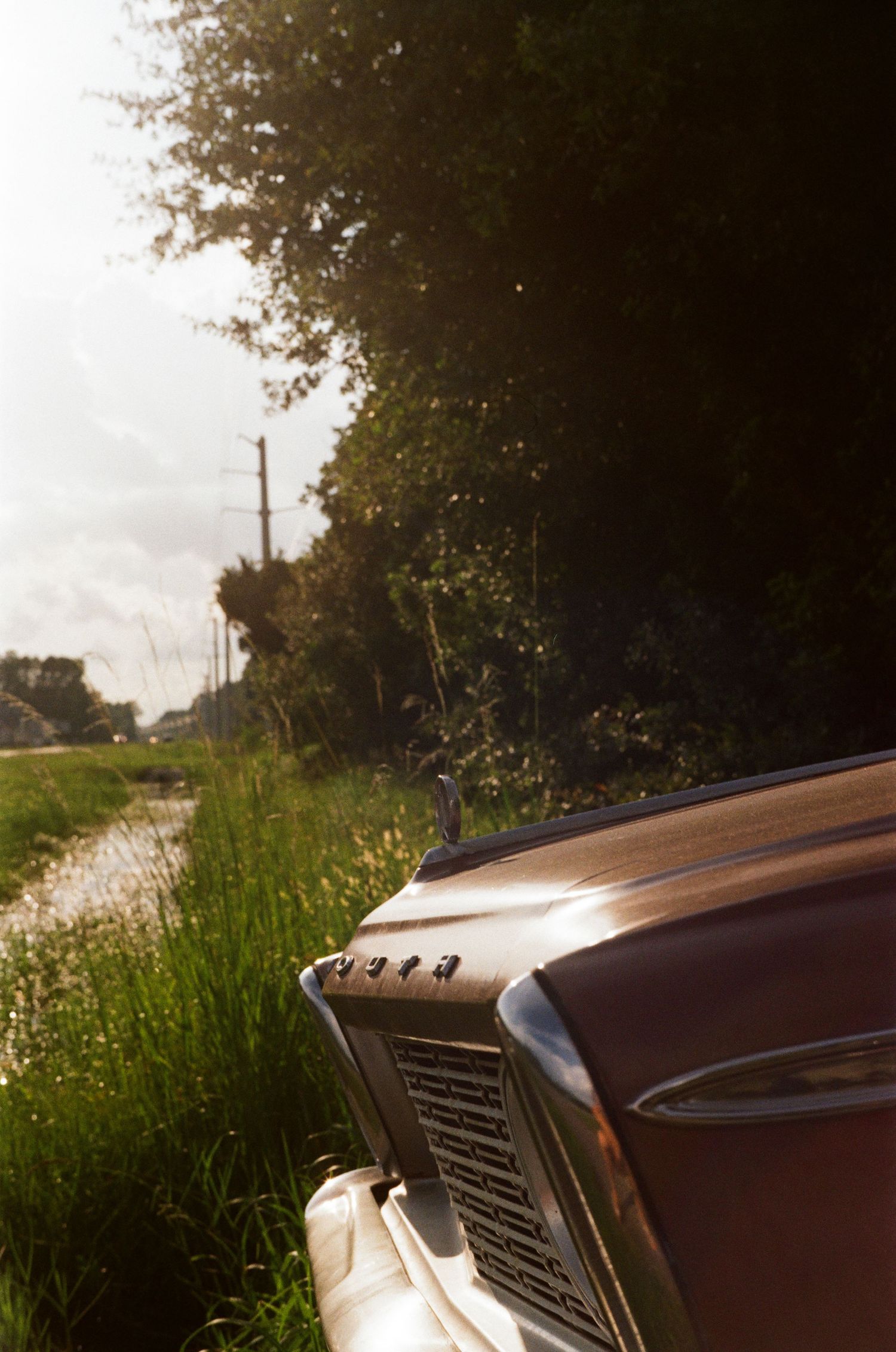 35mm film photo in Gainesville, Florida