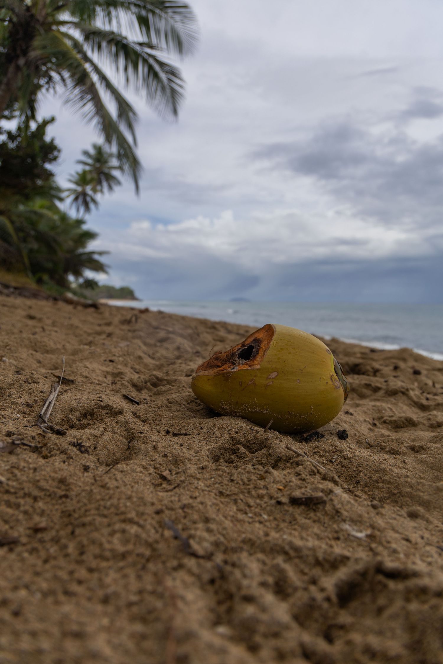 Travel photo in Puerto Rico