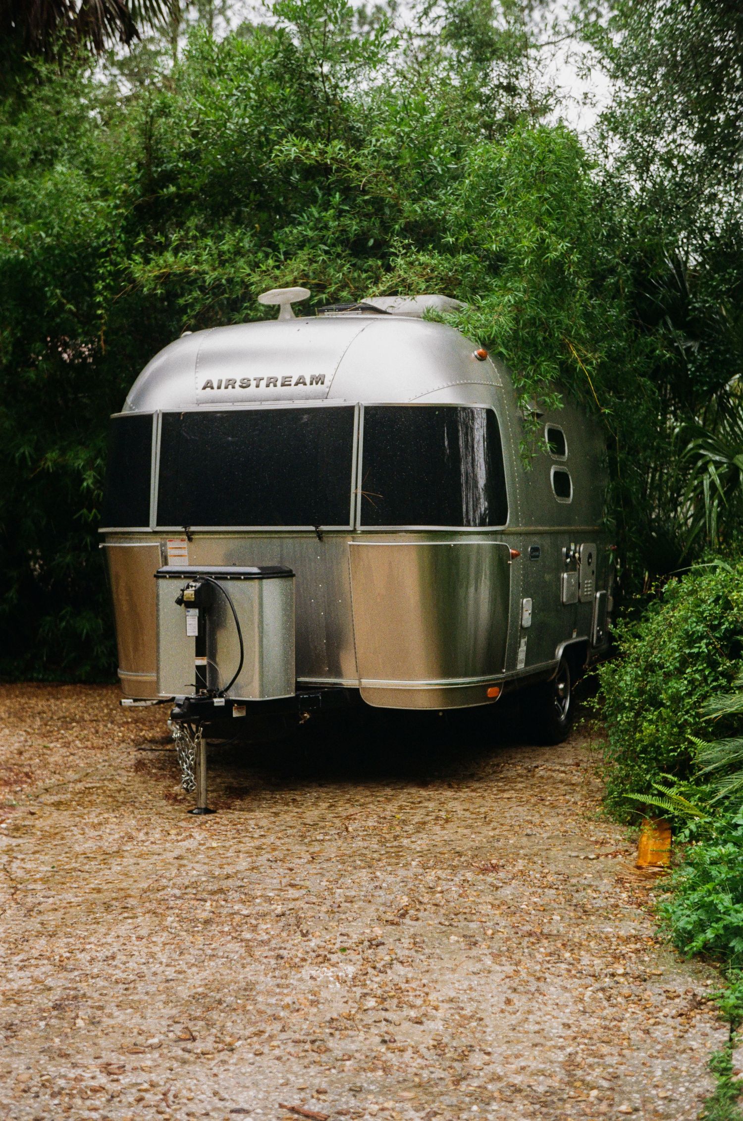35mm film photo in Gainesville, Florida