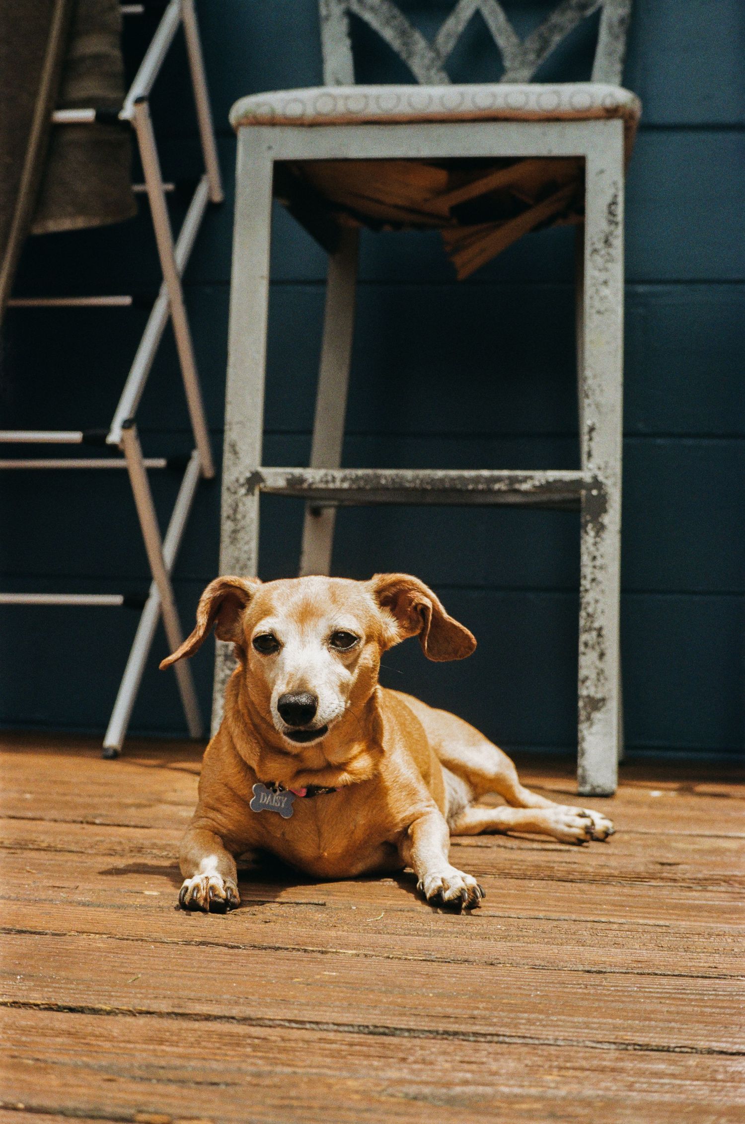 35mm film photo in Gainesville, Florida