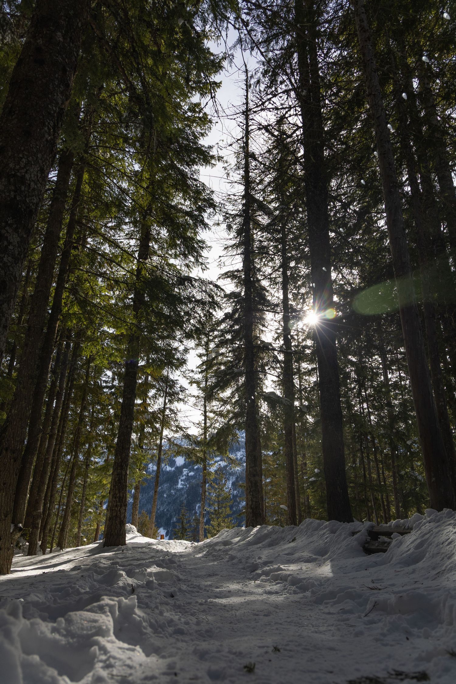 Travel photo in Surrey, BC, Canada