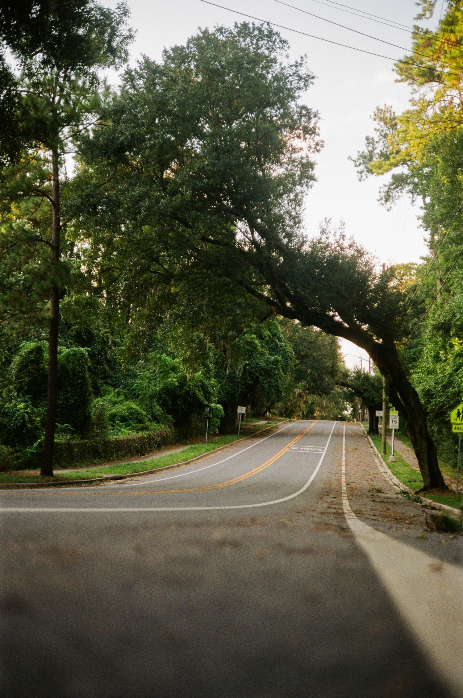 35mm film photo in Gainesville, Florida