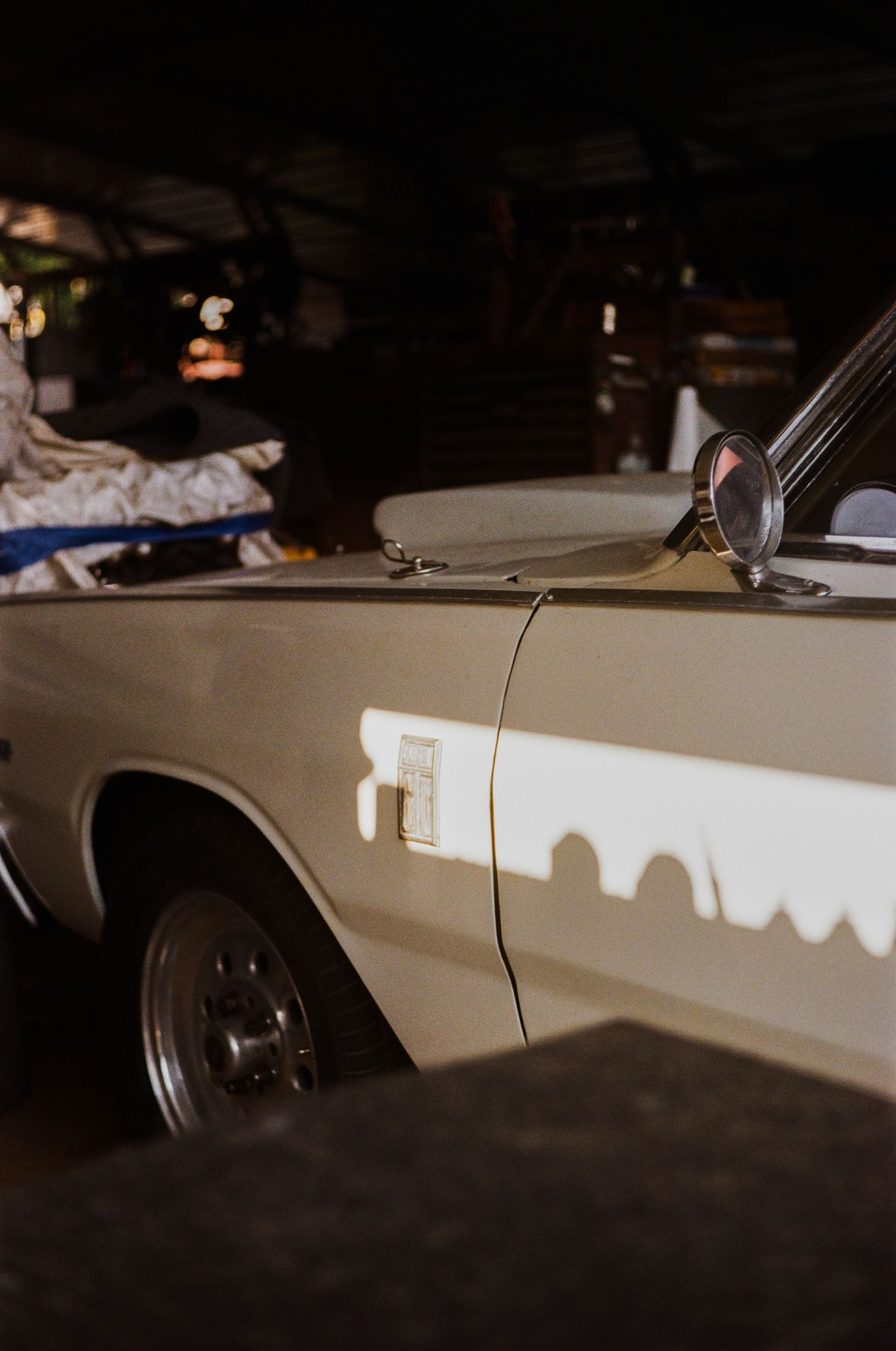 35mm film photo in Gainesville, Florida