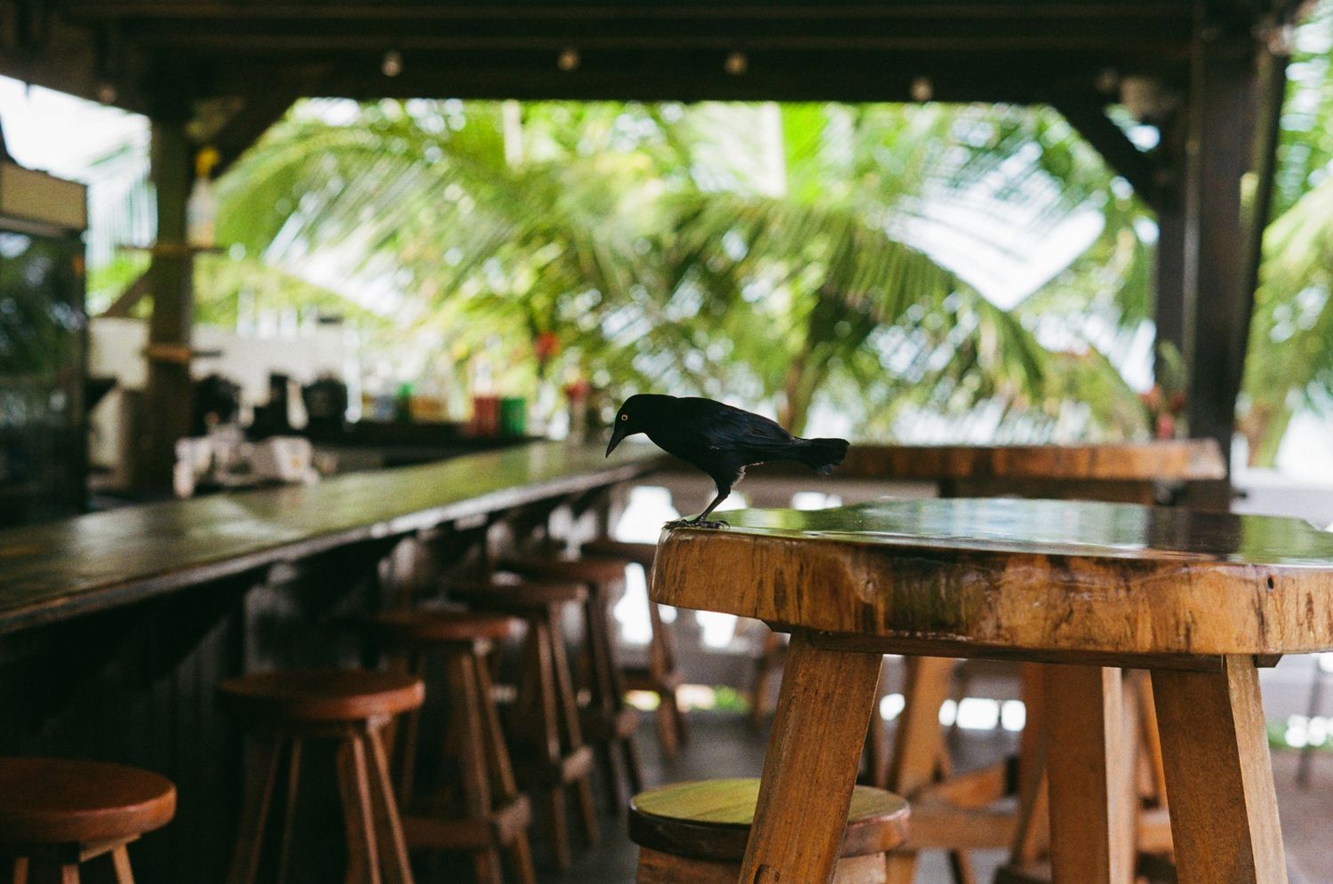 35mm film photo in Puerto Rico