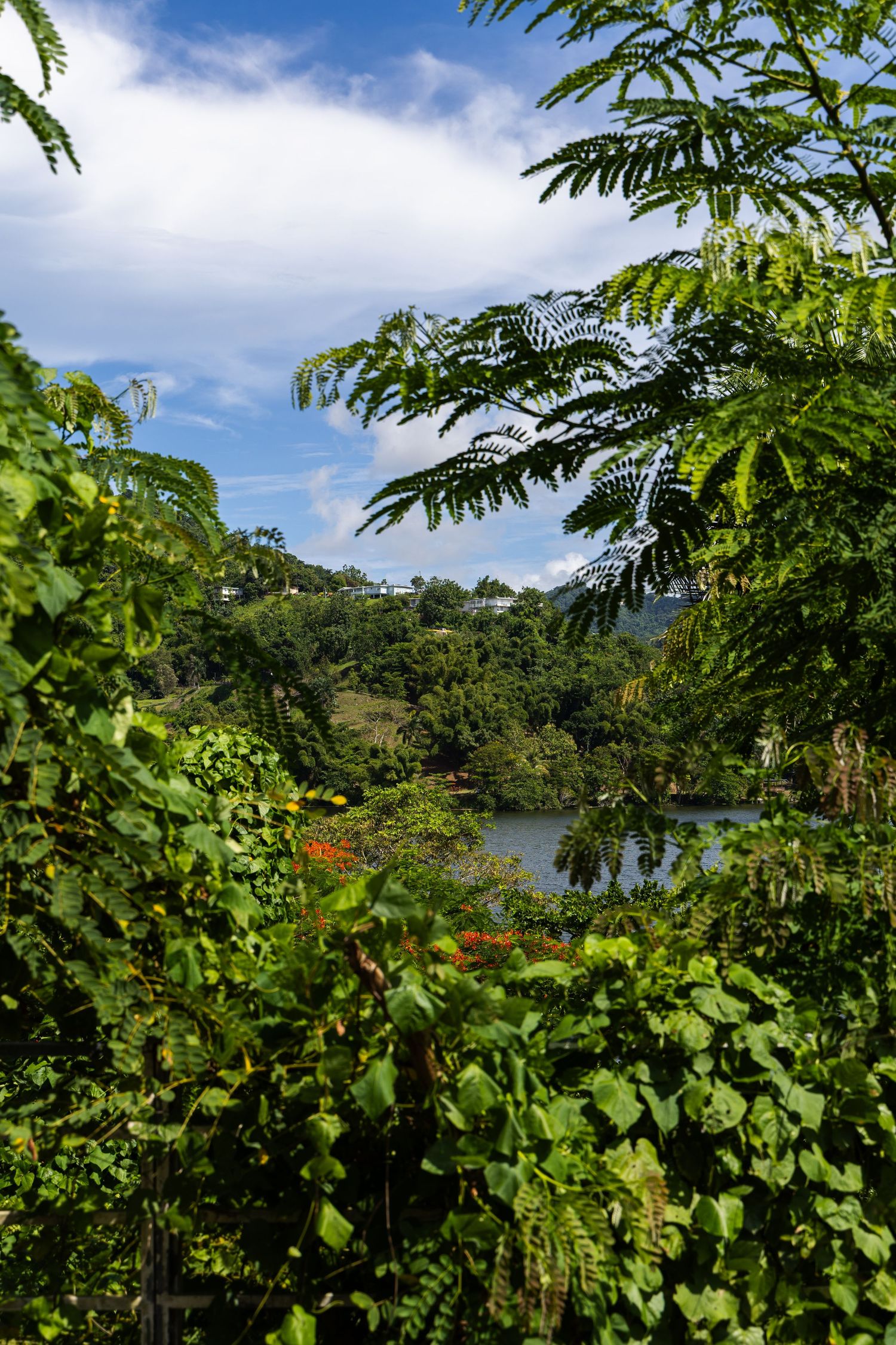 Travel photo in Puerto Rico