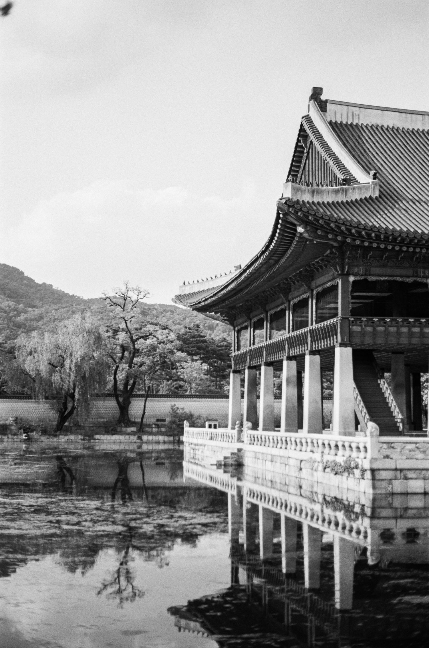 35mm film photo at the Gyeongbokgung Palace in Seoul, South Korea