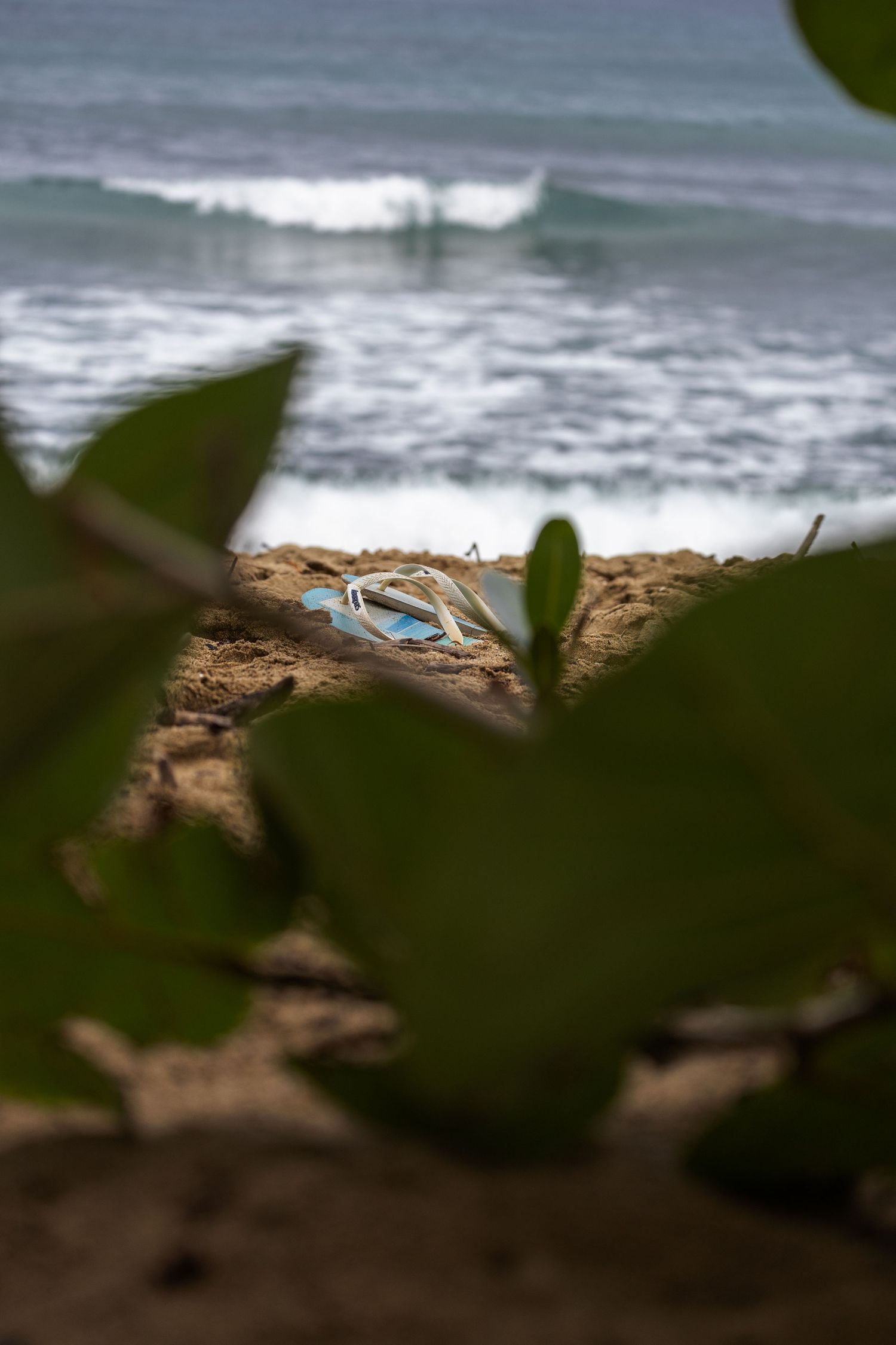 Havaianas in Puerto Rico