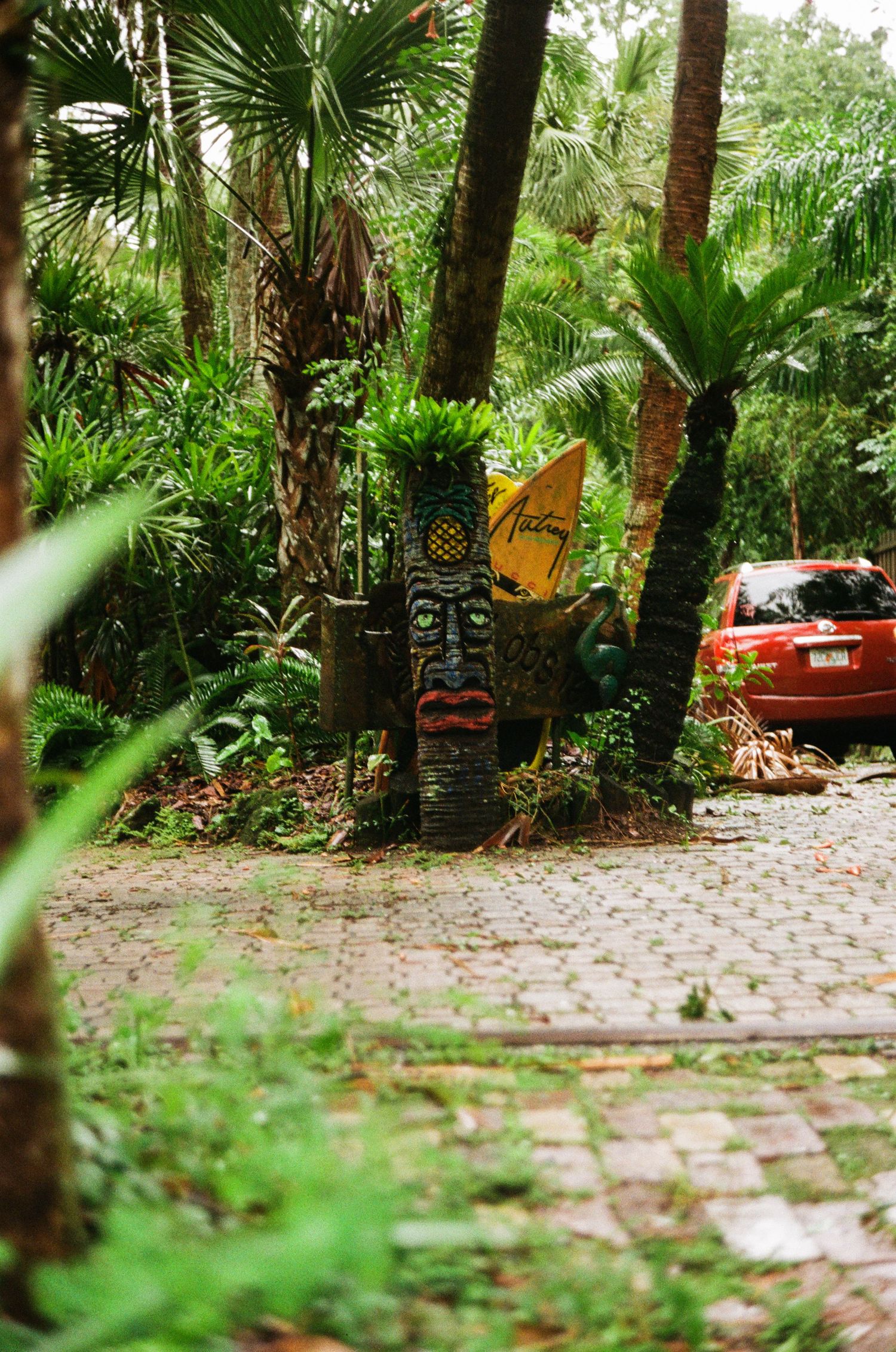 35mm film photo in Gainesville, Florida