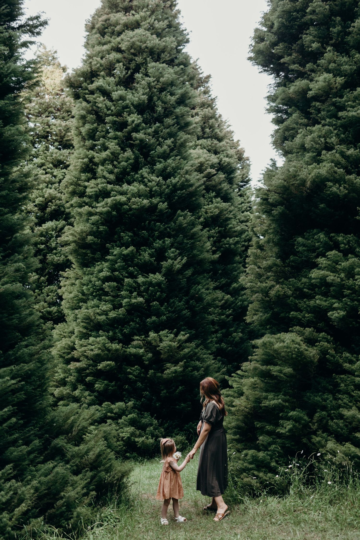 Yarra Valley family photographer