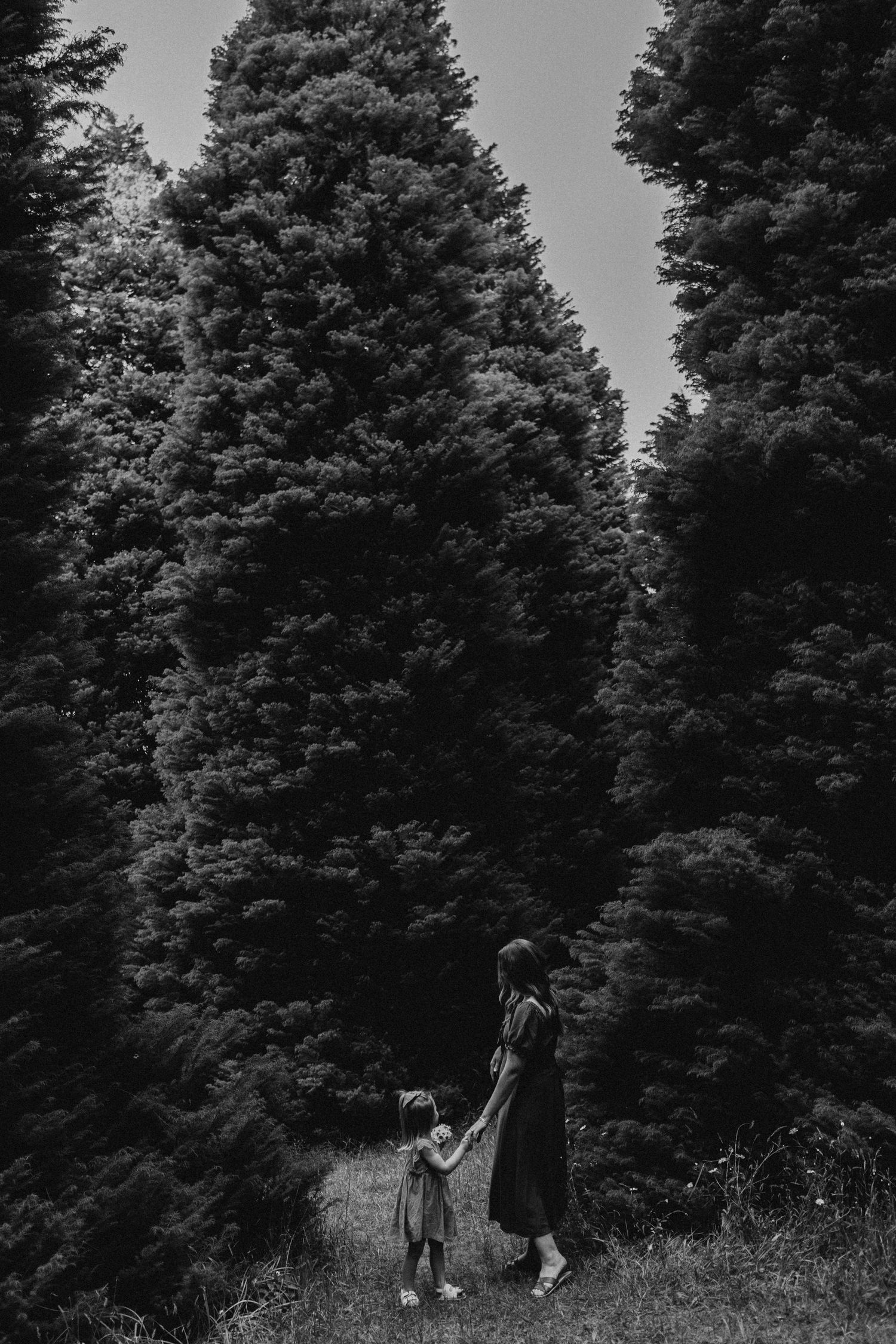 Olinda family photographer