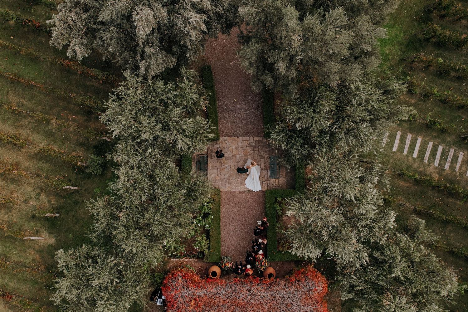 Aerial drone view of a wedding couple standing on a stone path surrounded by lush green trees and guests below.