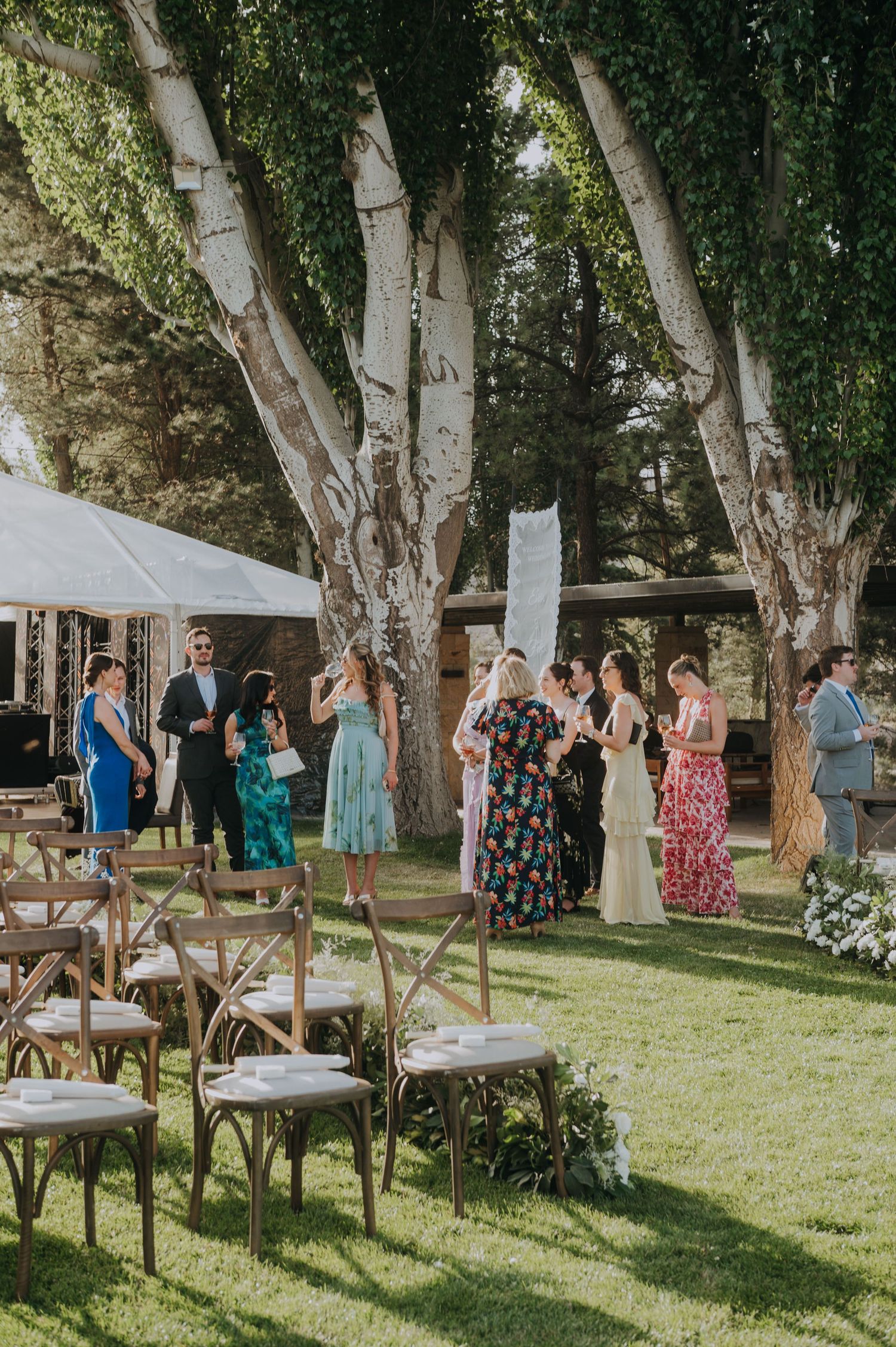 Wedding guests mingle on green lawn surrounded by tall trees before outdoor ceremony with wooden chairs.
