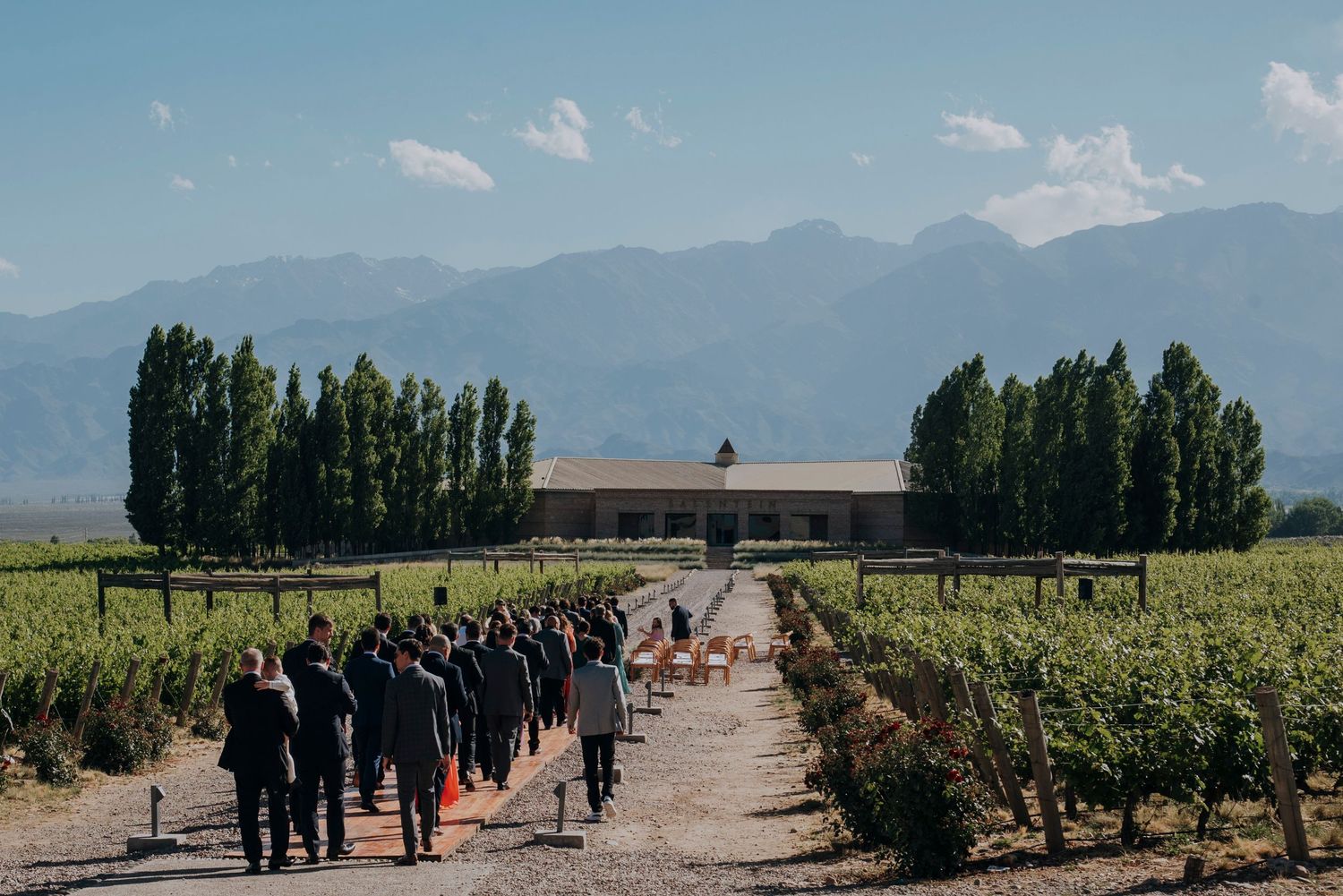 Wedding guests in formal attire walk through a vineyard toward a rustic venue with mountain backdrop.