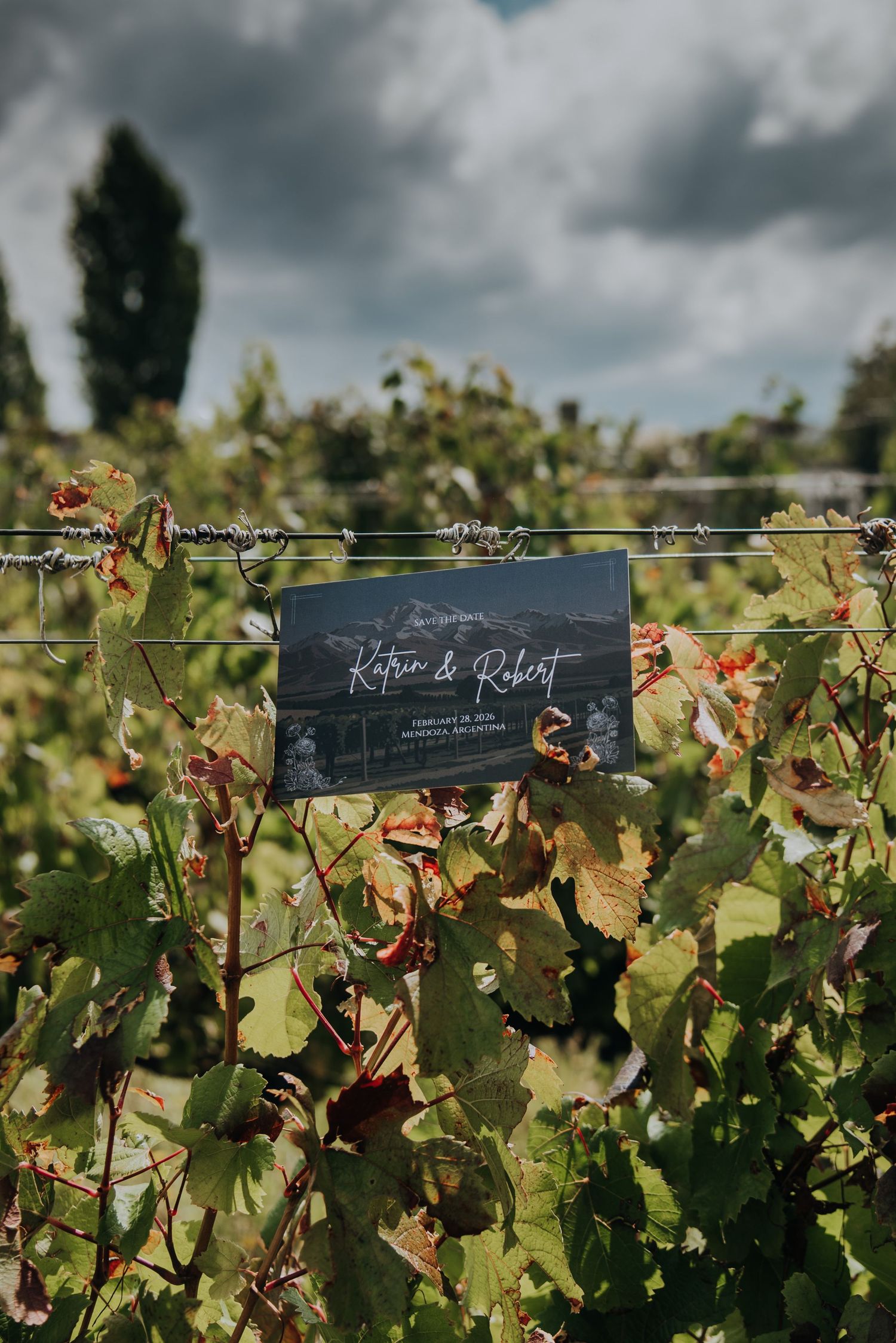 Wedding invitation for Katrin and Robert displayed among lush green vineyard vines under a cloudy sky.