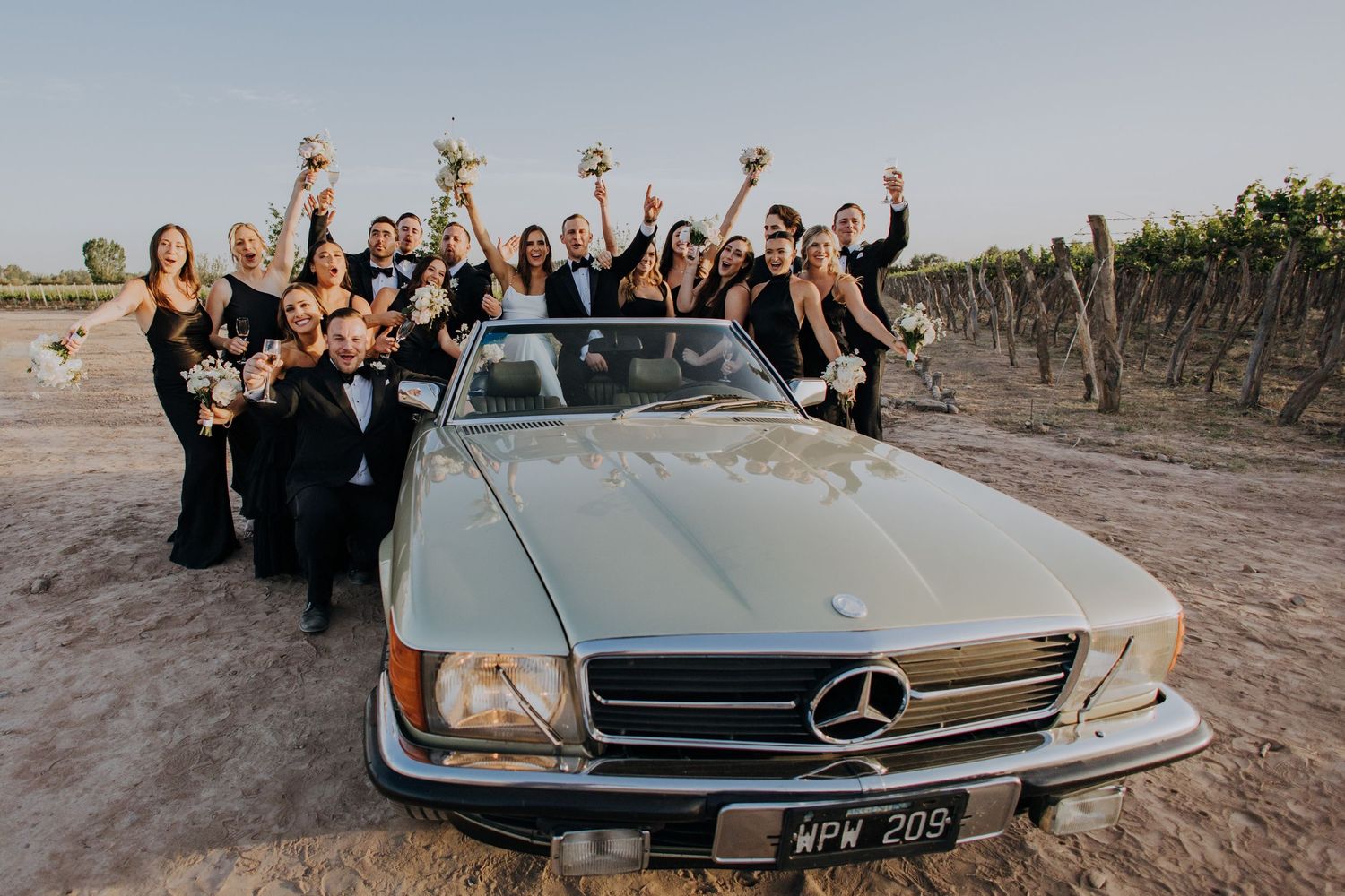 Wedding party celebrates around a vintage white Mercedes convertible in a vineyard setting.