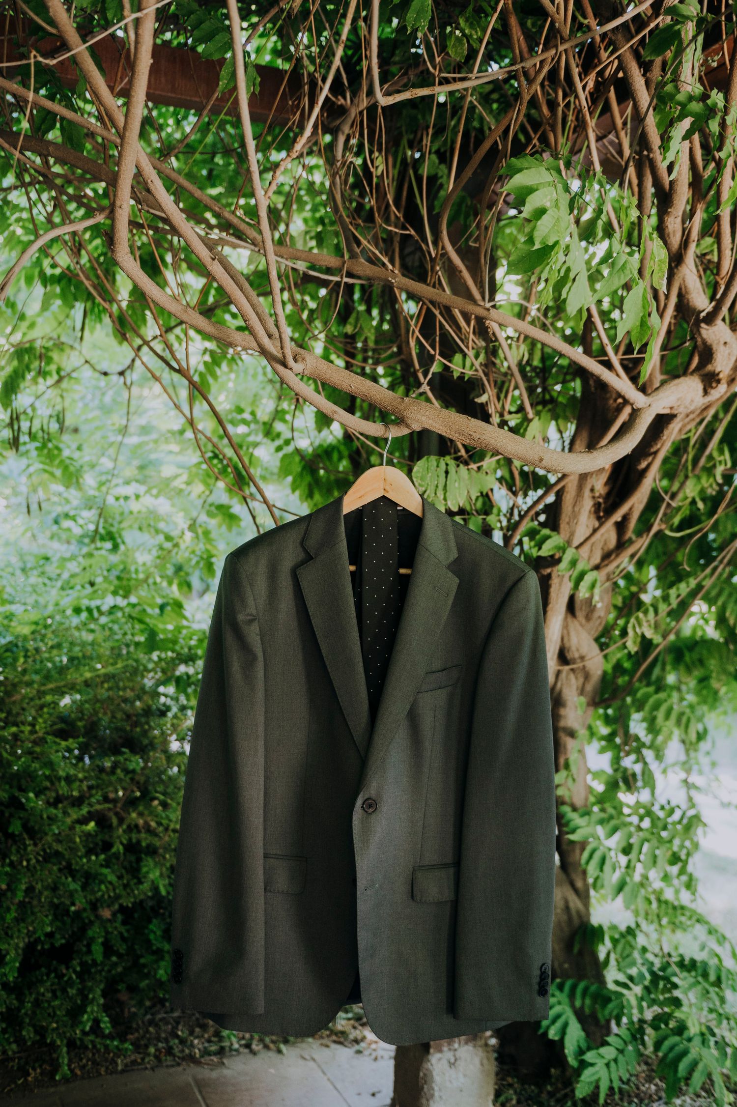 Dark olive suit jacket hanging on wooden hanger from twisted vine tree branches outdoors.