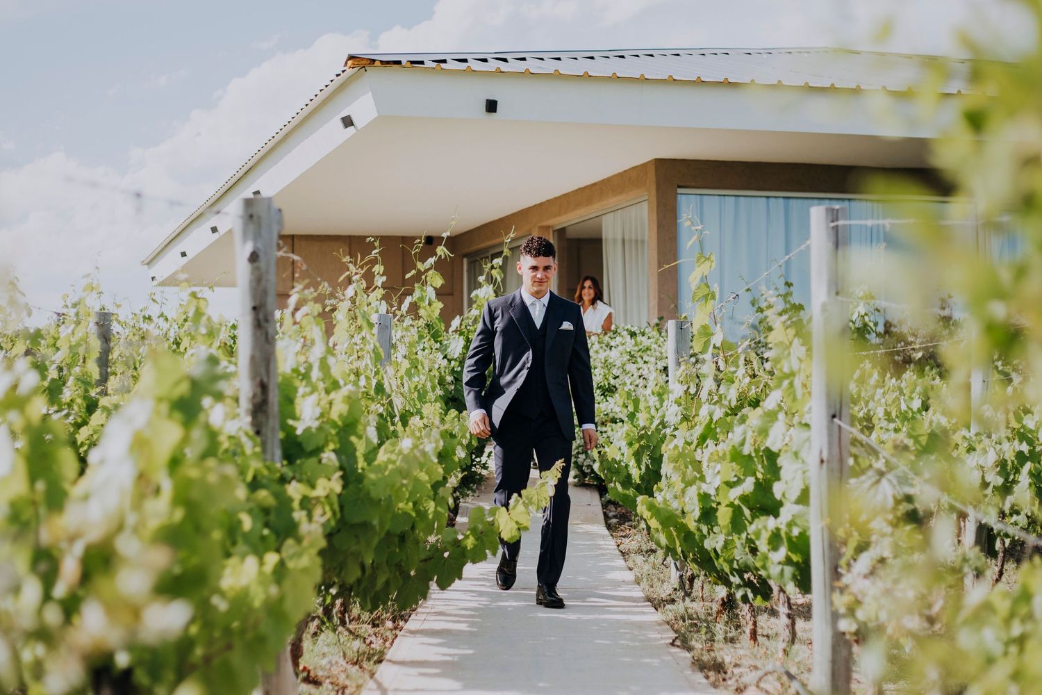 Dapper groom in navy suit walks through lush vineyard rows at winery wedding venue.