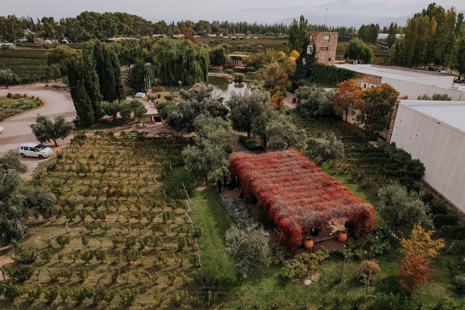 Aerial view of rustic winery estate with red pergola surrounded by olive trees and vineyards.