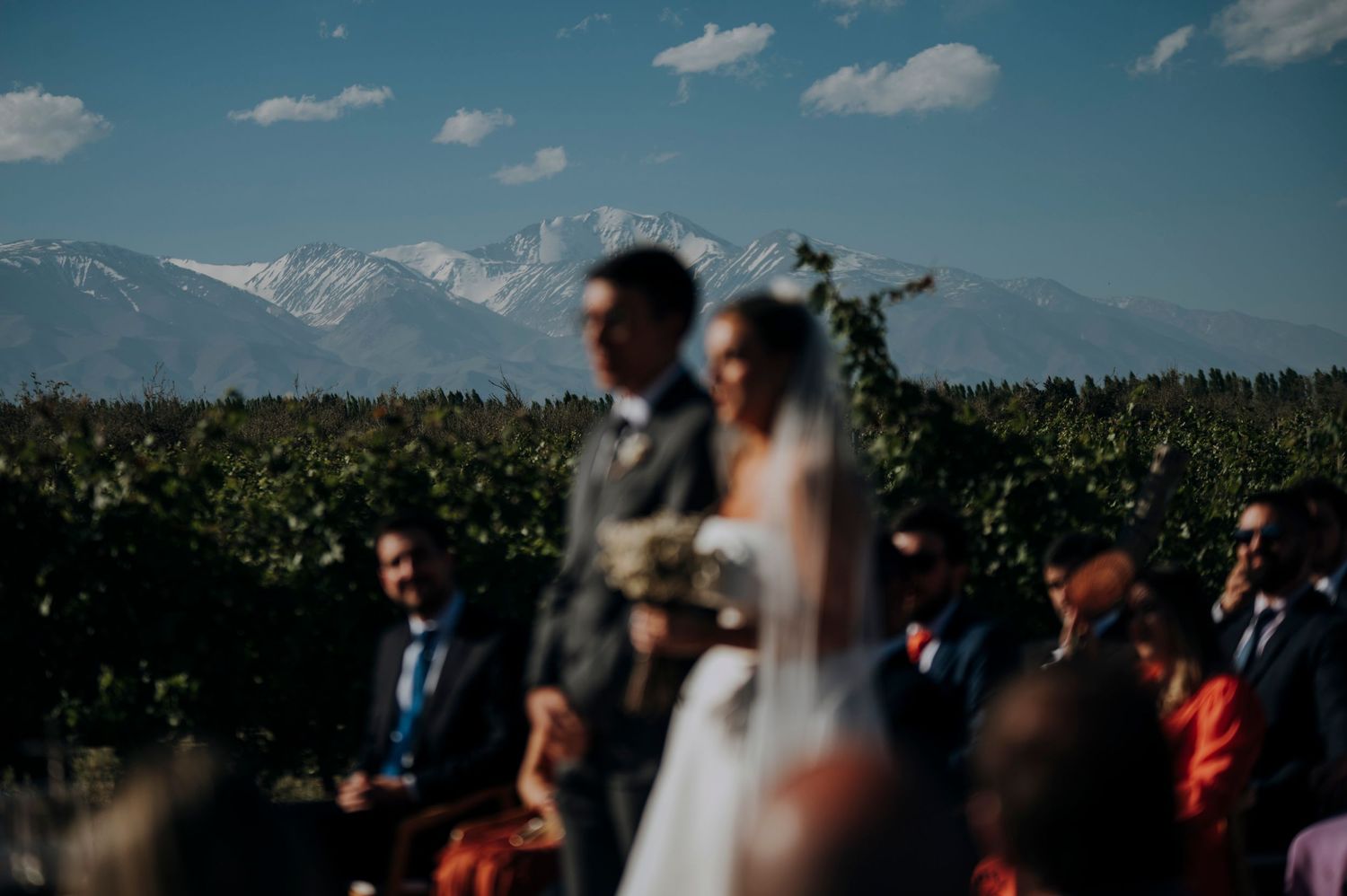 Blurred bride and groom at outdoor vineyard wedding ceremony with snow-capped mountains in background.