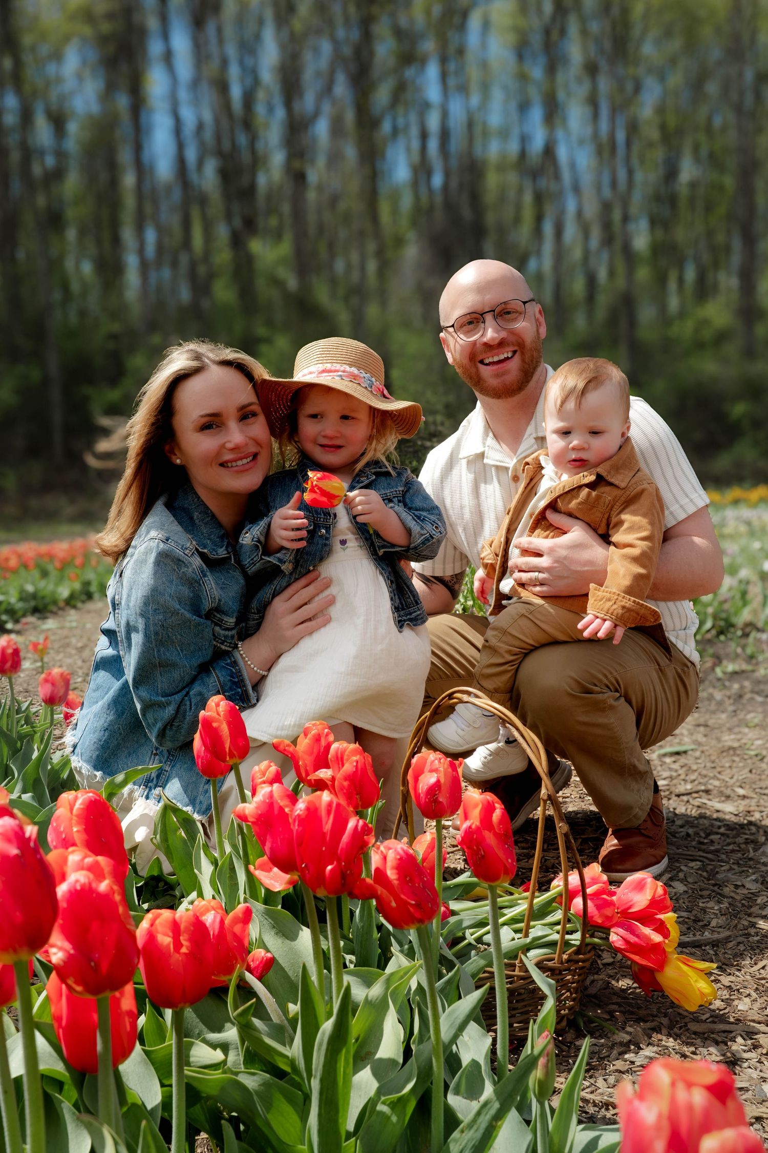 Happy family of four crouching among red tulips in sunny spring flower field smiling.