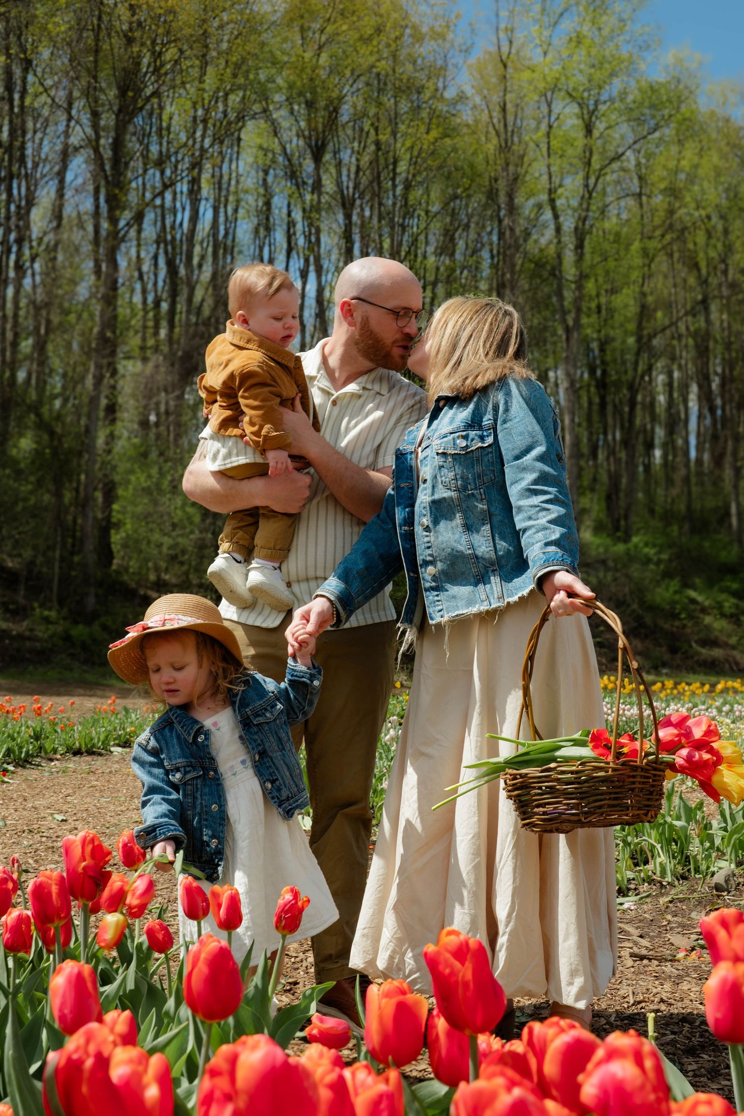 Family of four embracing among rows of red tulips in sunny spring flower field.