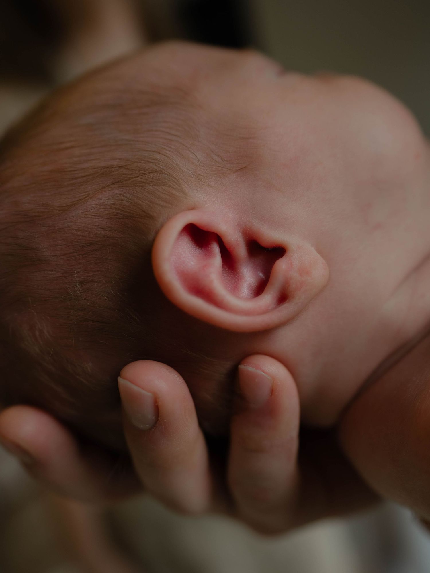 Close-up of a newborn baby's tiny ear and delicate fingers, captured in soft natural light.
