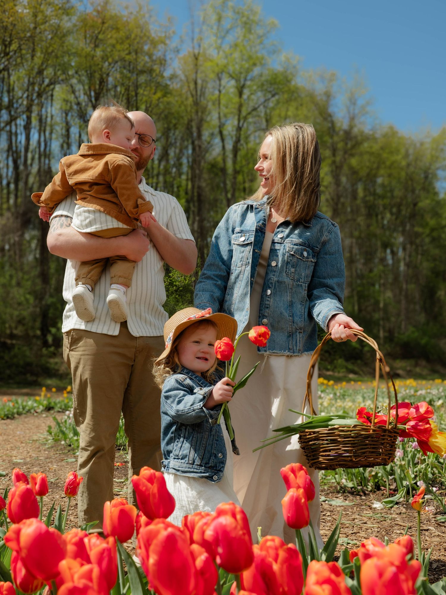 Family enjoying sunny day picking red tulips, toddler in straw hat holding flower in field.