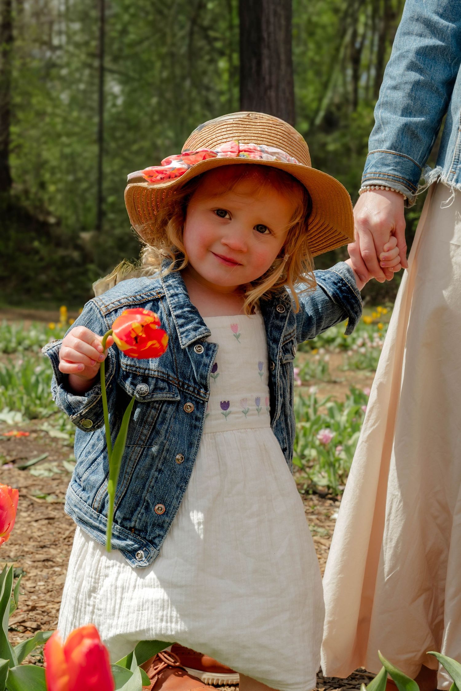 Toddler girl in straw hat and denim jacket holds red tulip in a spring flower garden.