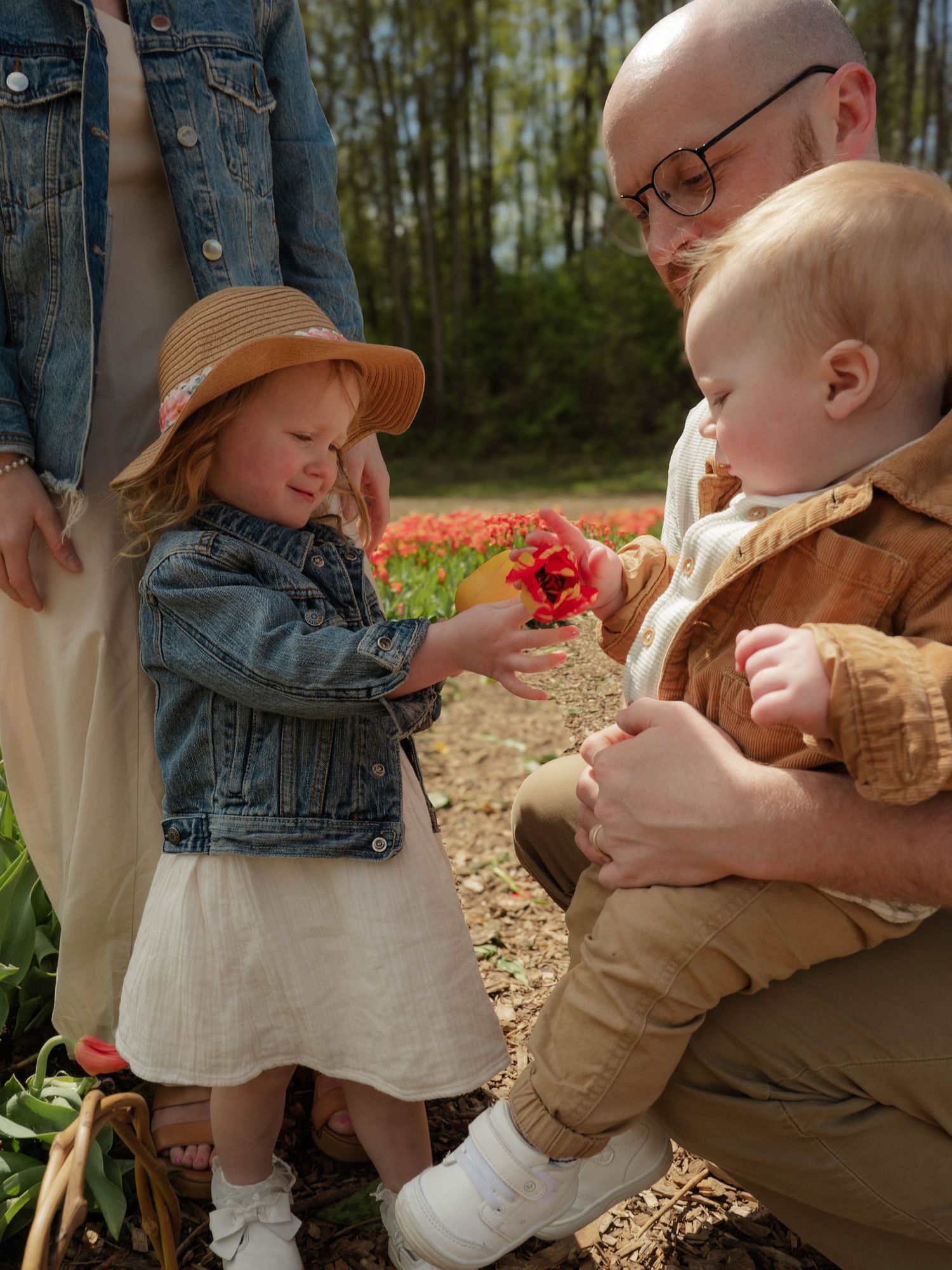 Father crouches with baby as toddler girl in straw hat shares red tulip.