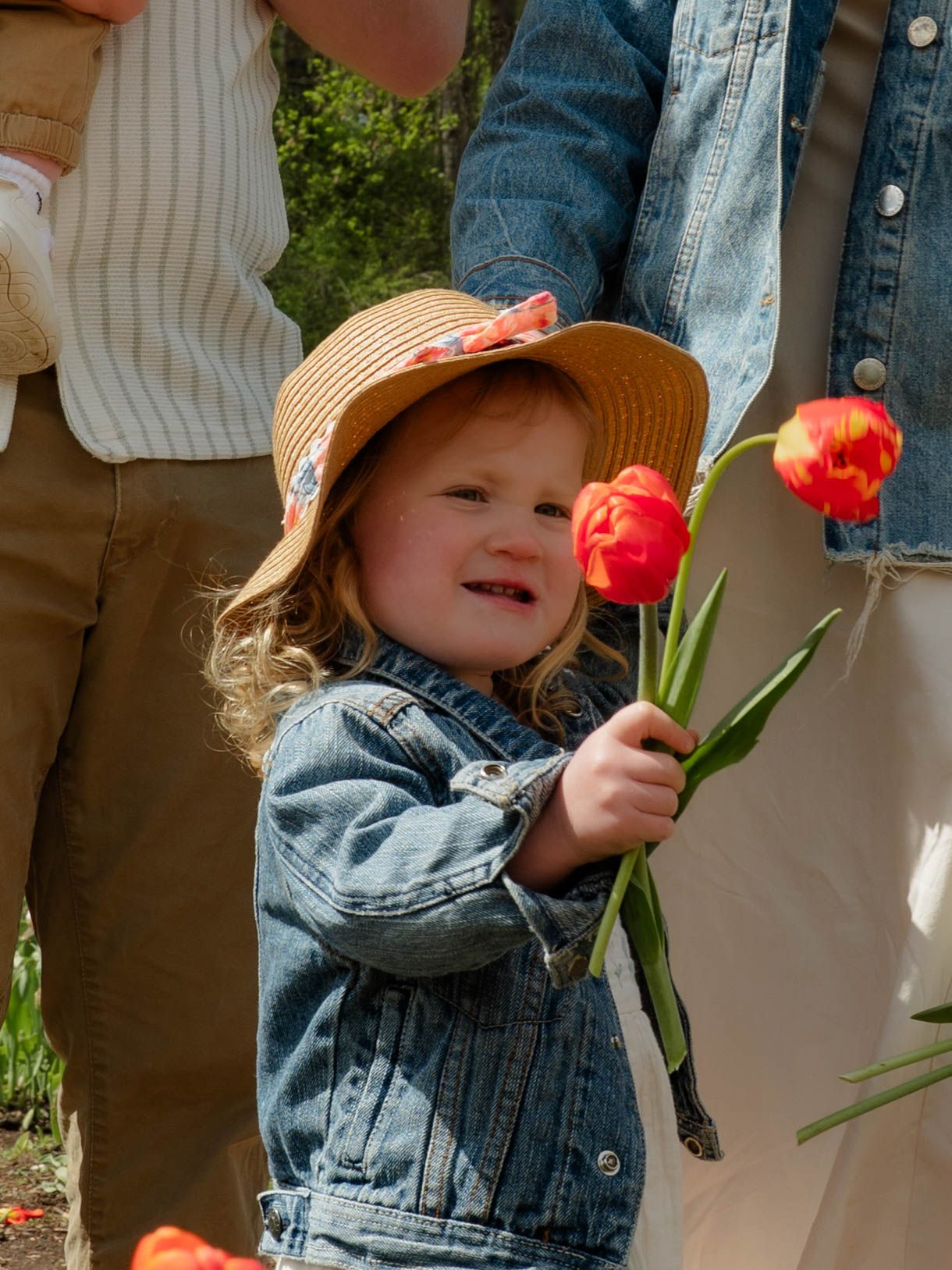 Cute toddler girl in straw hat holding red tulips in a flower field.