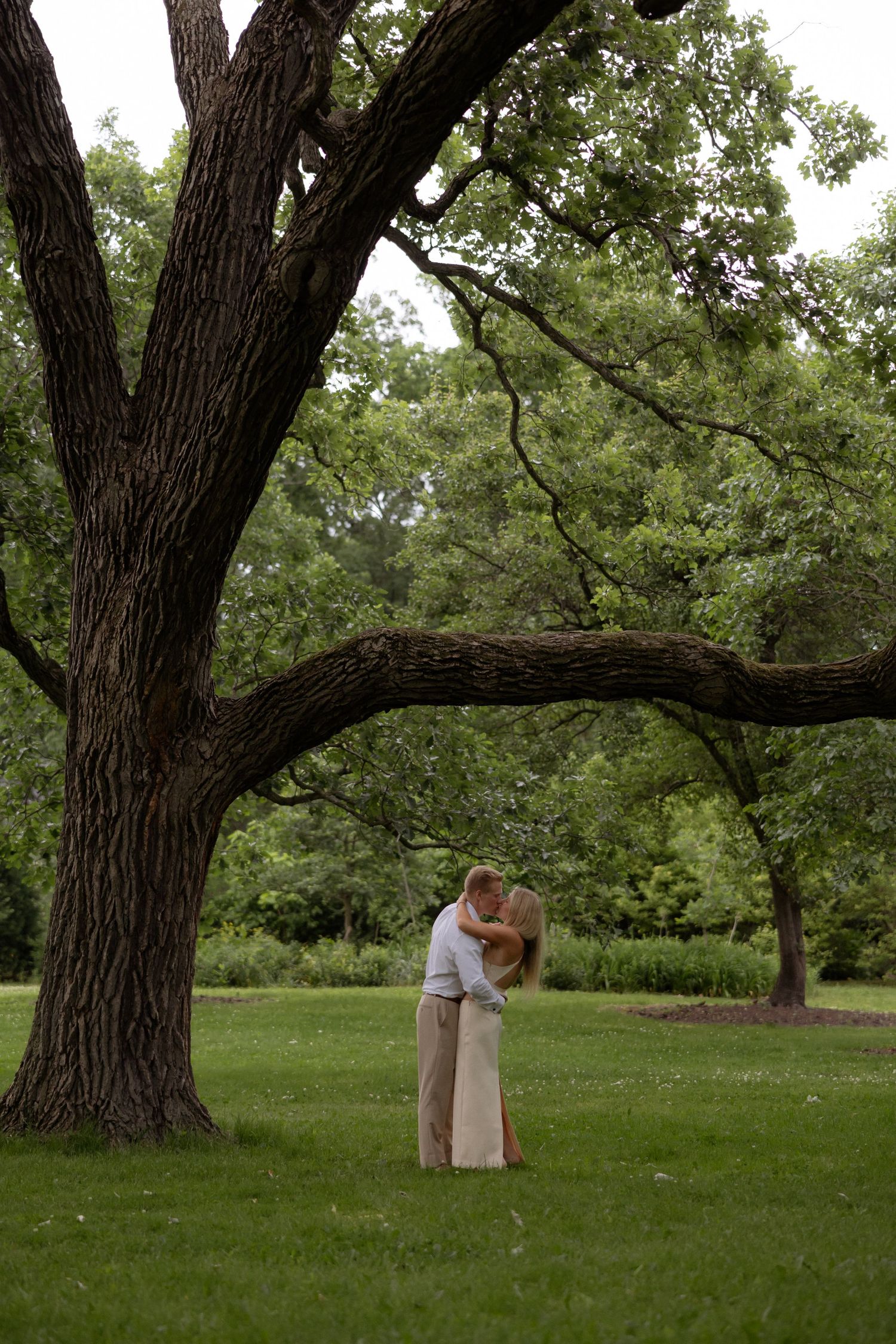 Couple embracing romantically under a large oak tree in a lush green park setting.