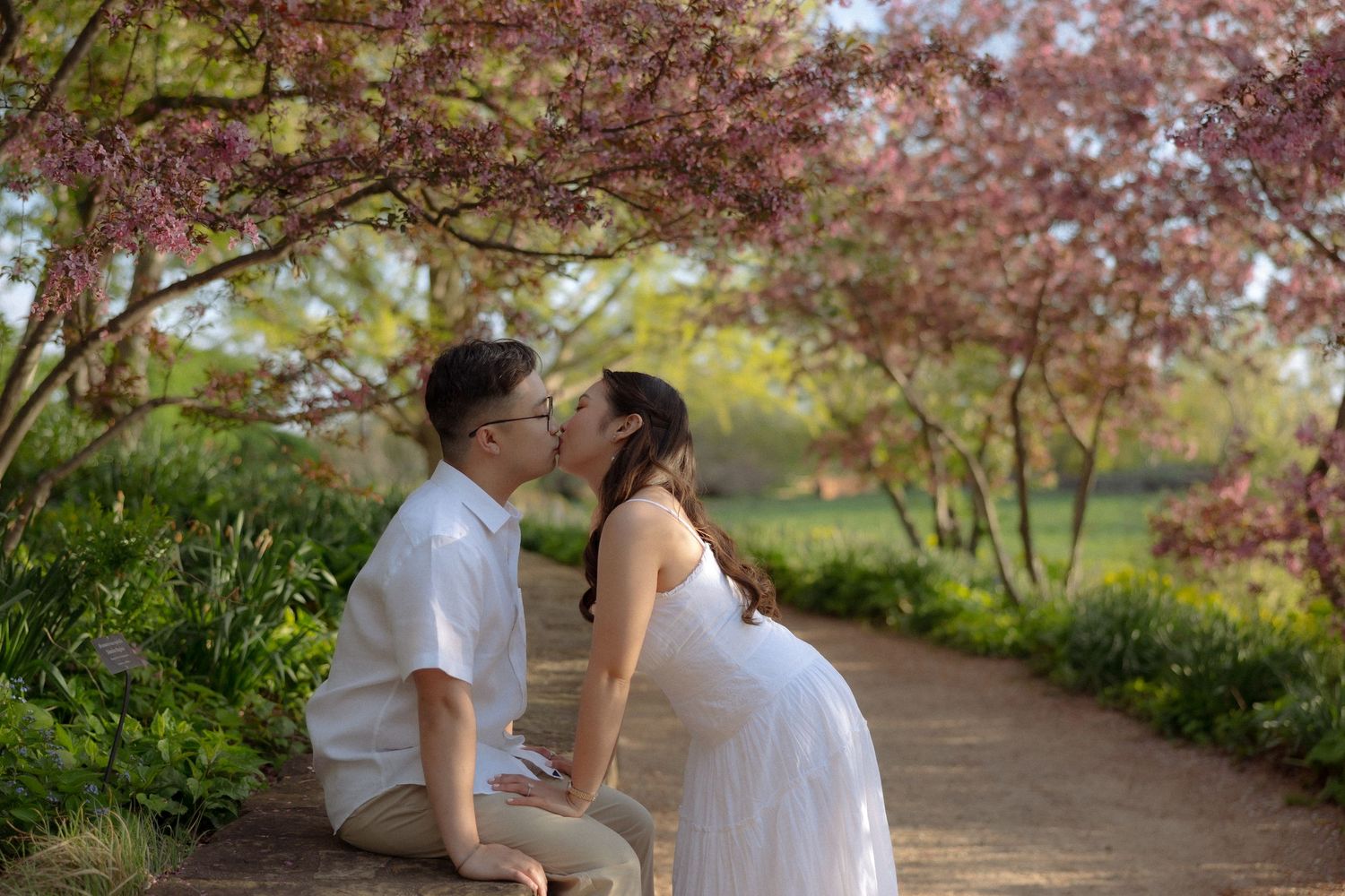 Couple sharing a romantic kiss under blooming pink cherry blossom trees on a garden path during a maternity photoshoot.