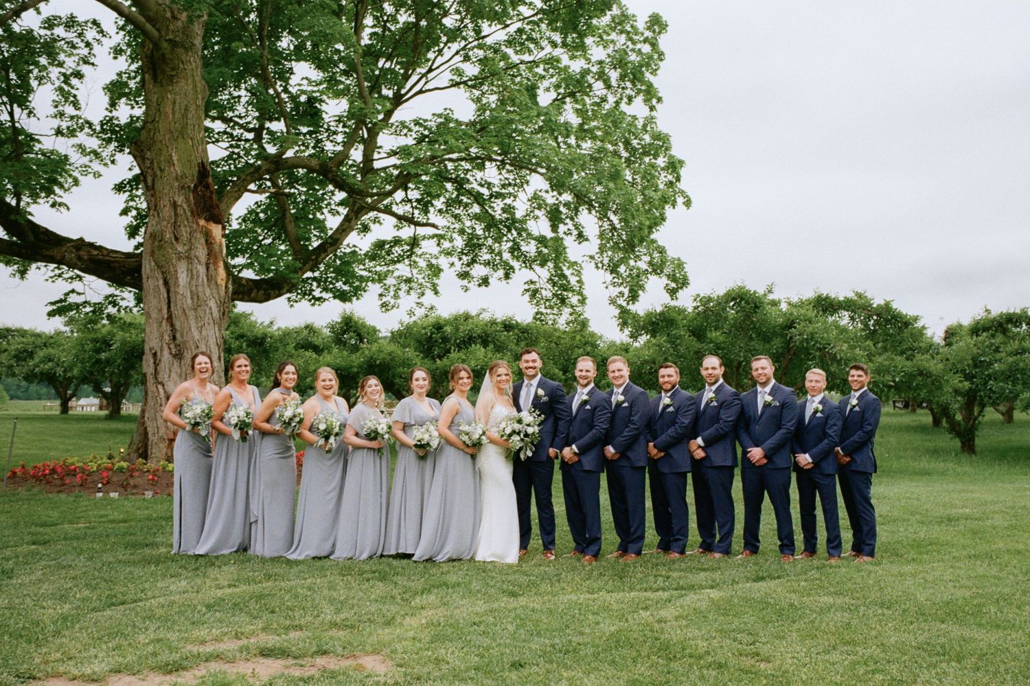 Wedding party stands under oak tree, bridesmaids in light gray gowns with groomsmen in navy suits.