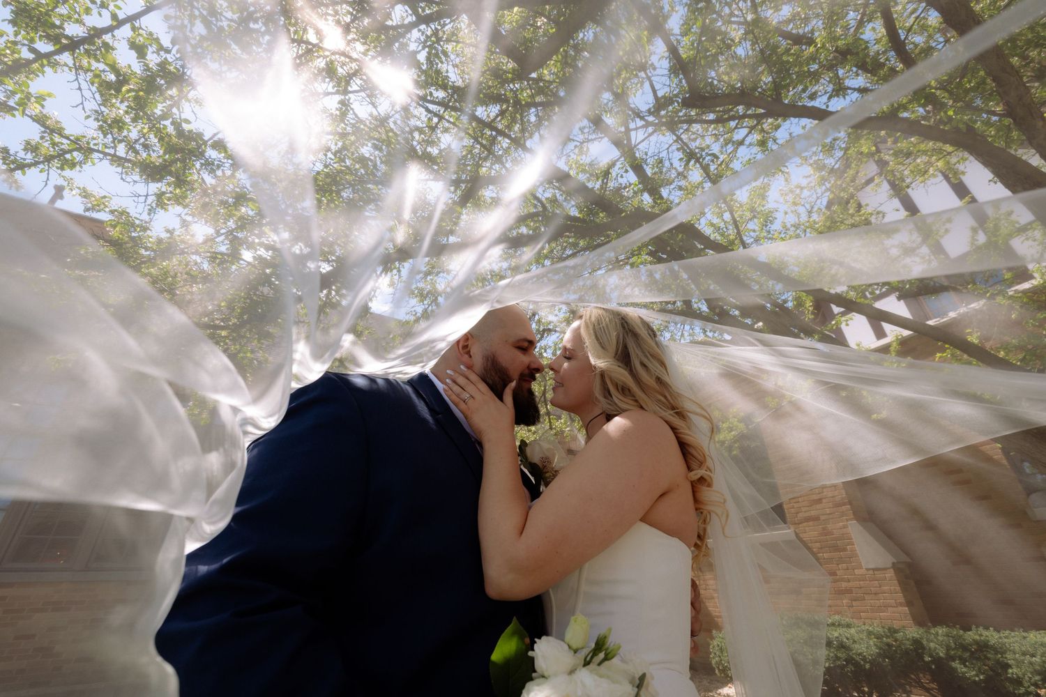 Bride and groom share a romantic kiss under a flowing veil with sunlight streaming through trees at their outdoor wedding.