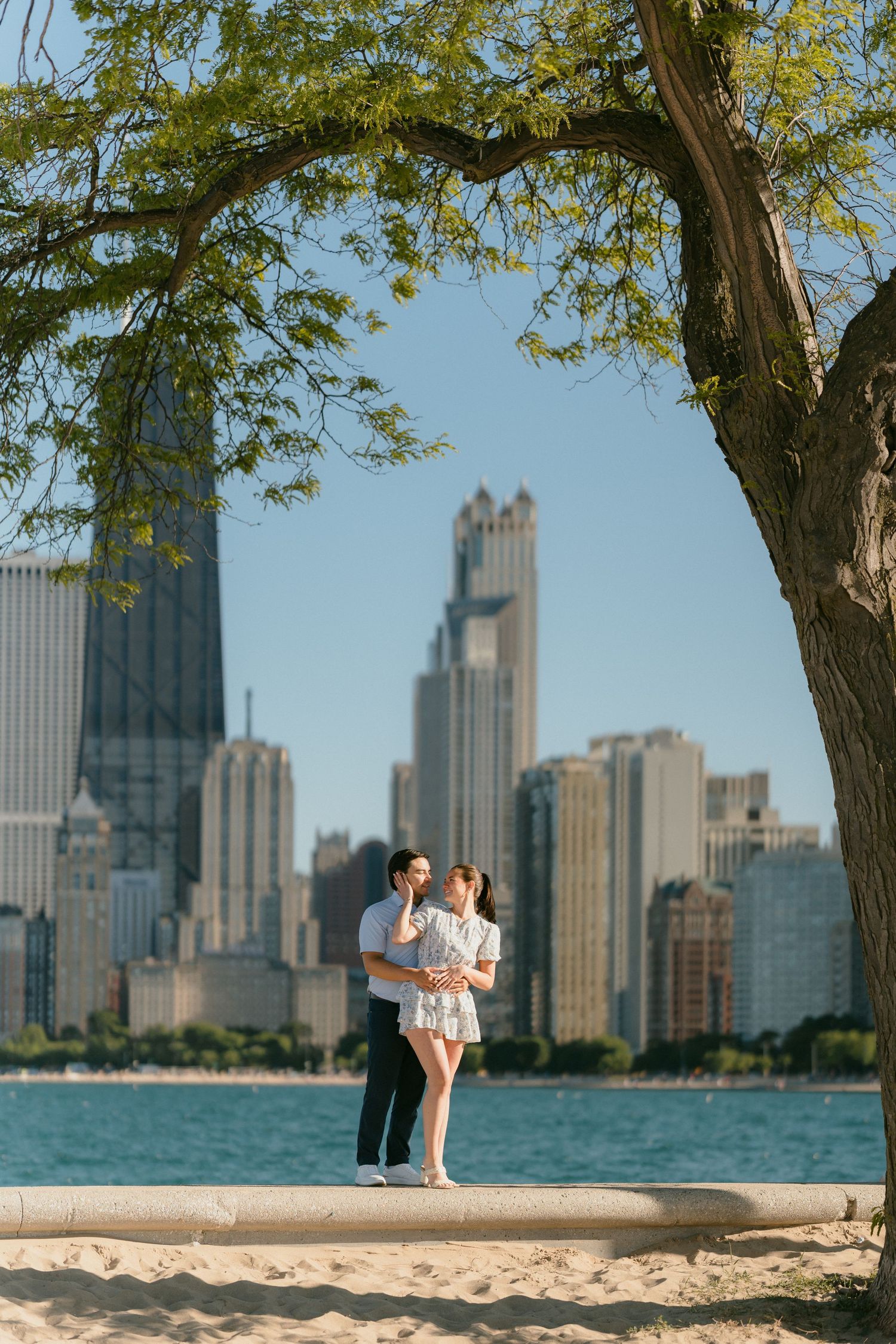 Romantic couple embracing under tree with stunning Chicago skyline and Lake Michigan view.