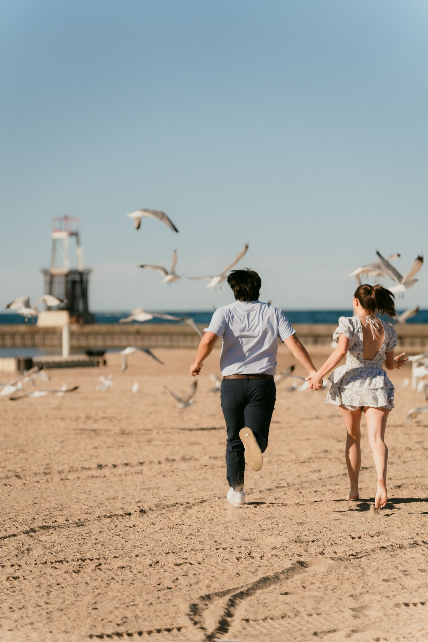 Couple running hand-in-hand through flock of seagulls on sunny Chicago lakefront beach.