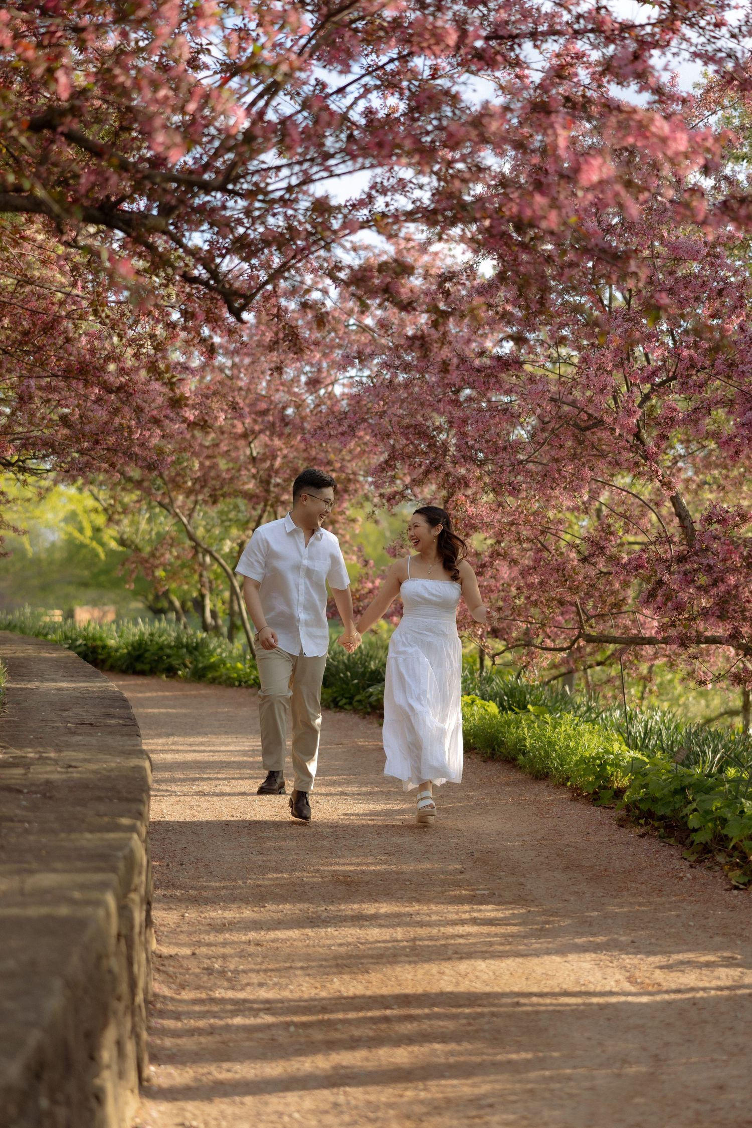 Couple holding hands walking under pink cherry blossom trees on a scenic garden path in spring.